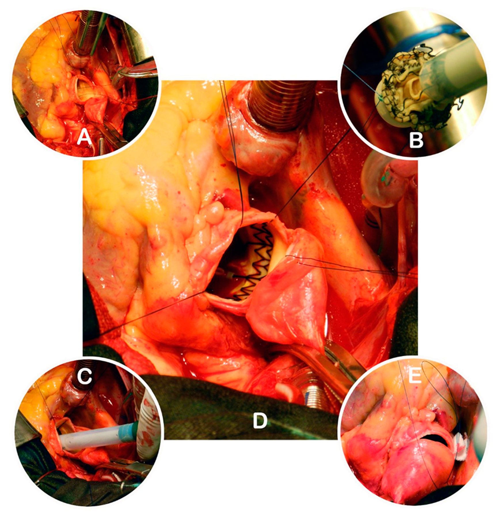 Preprints 161432 g002