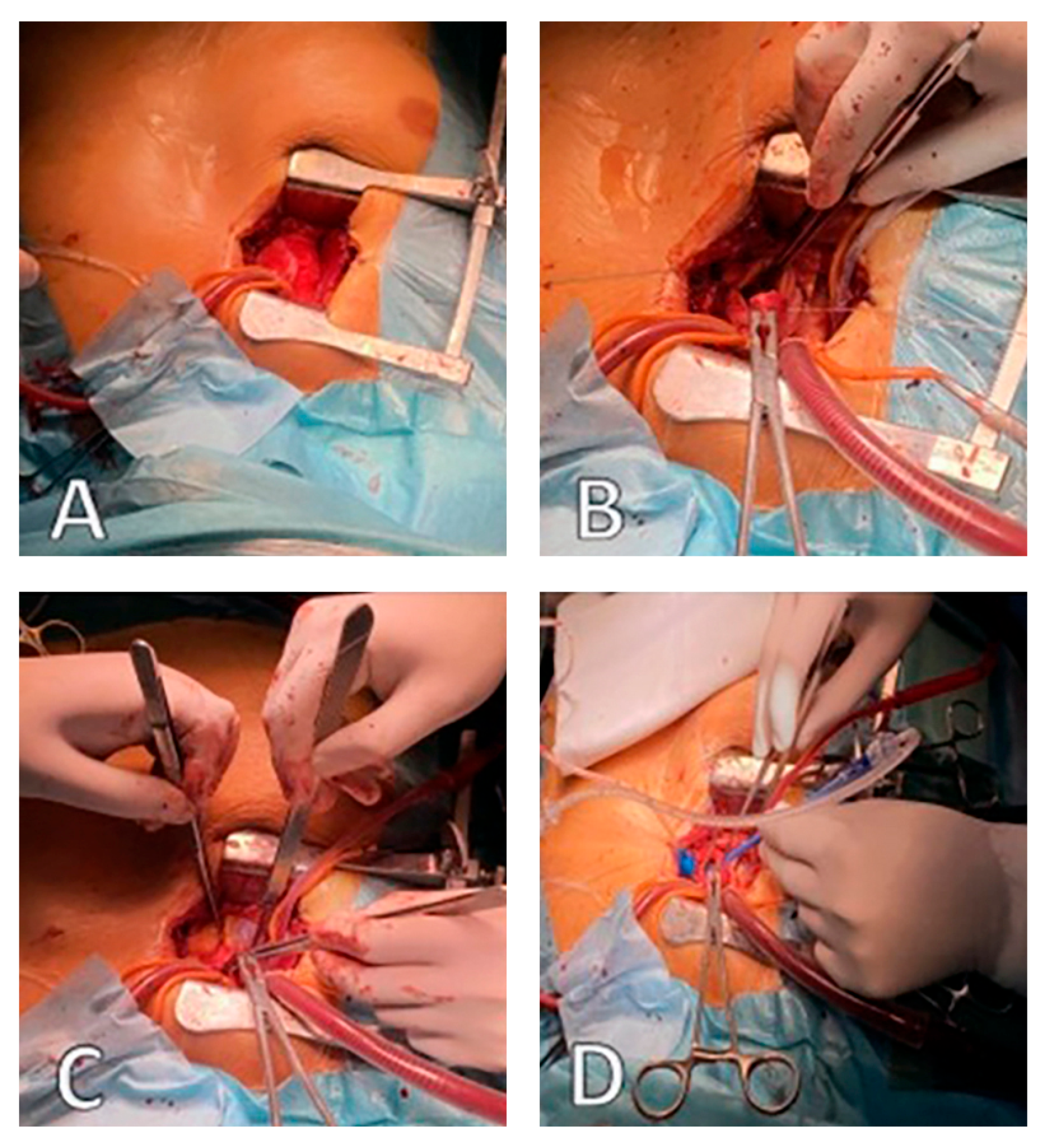 Preprints 161432 g003