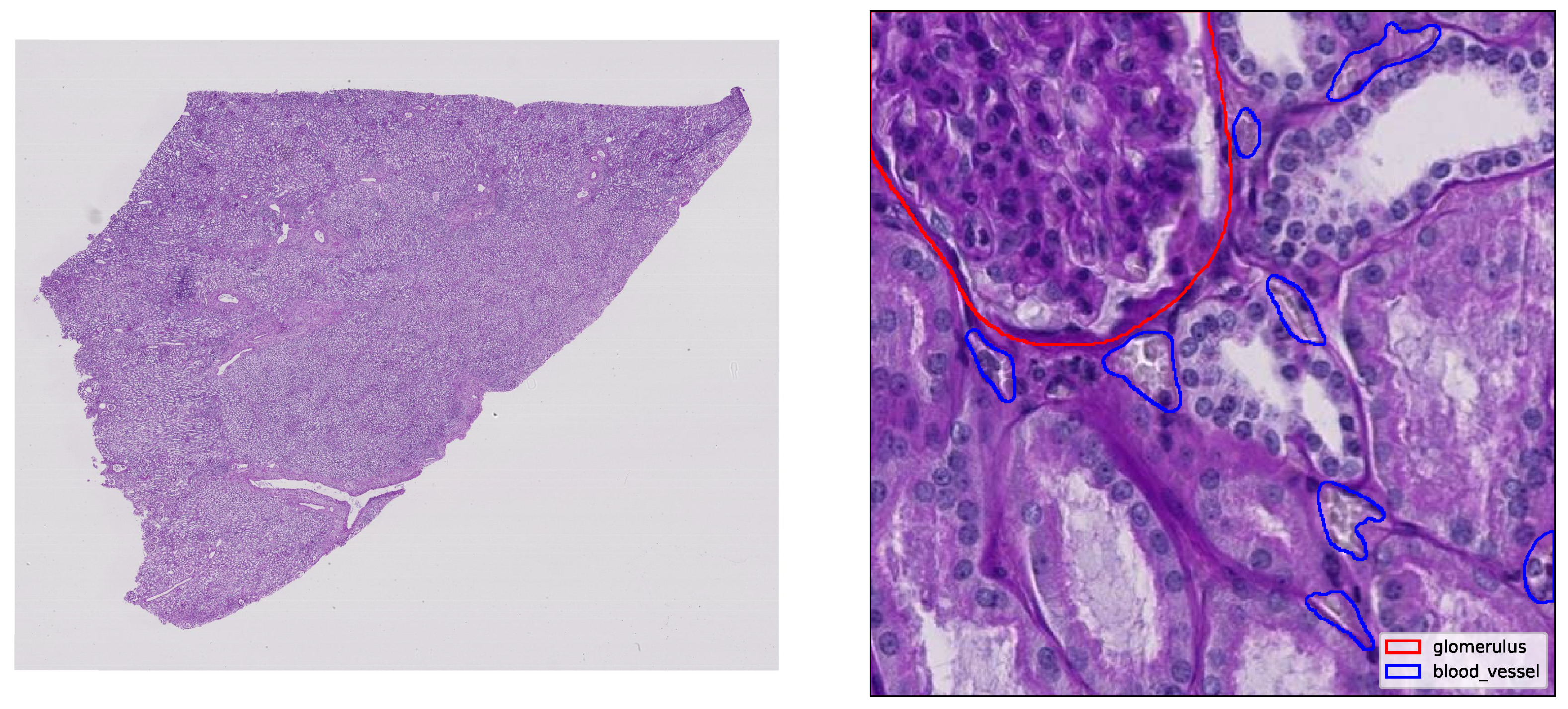 Preprints 167009 g002