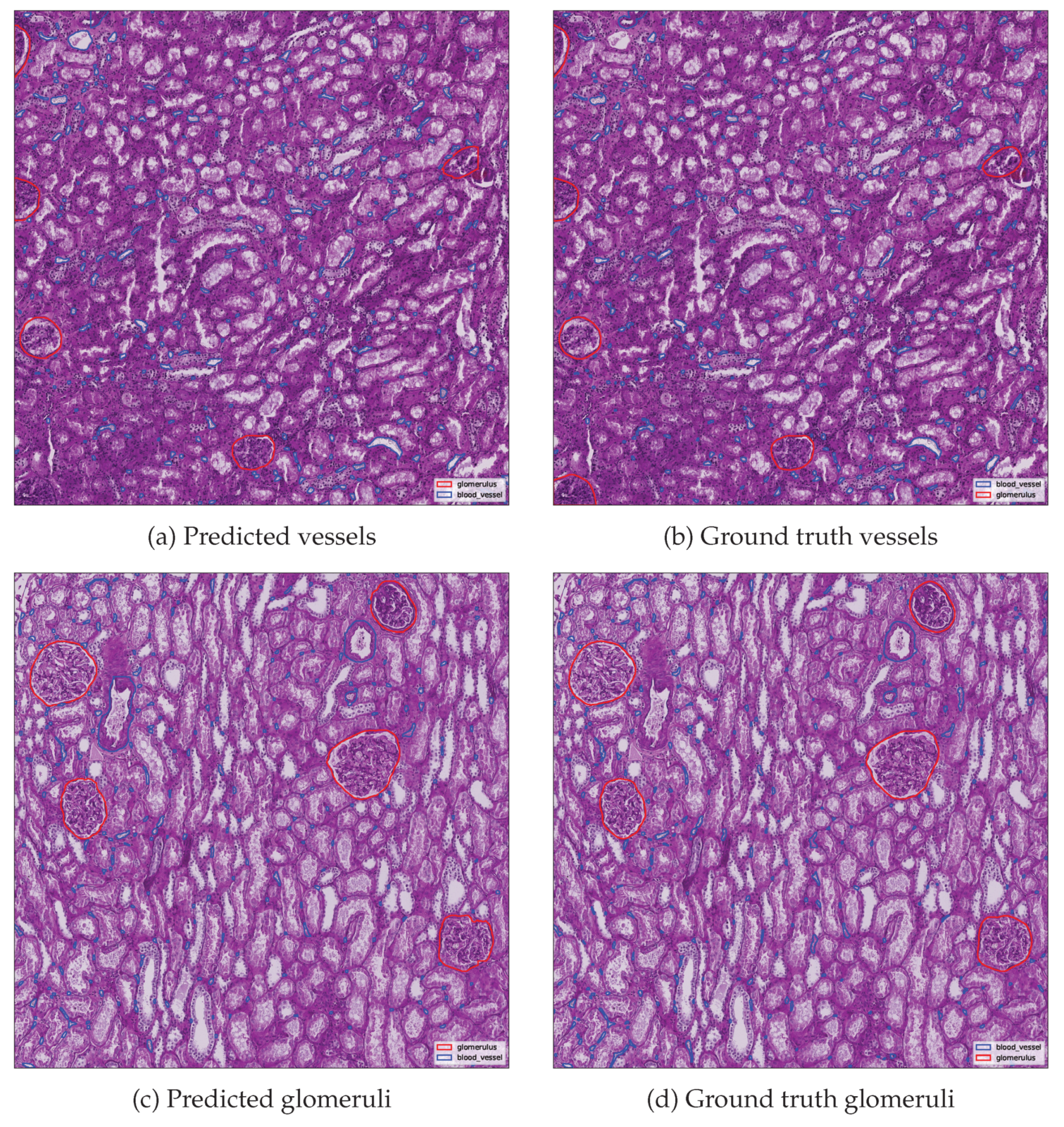 Preprints 167009 g010