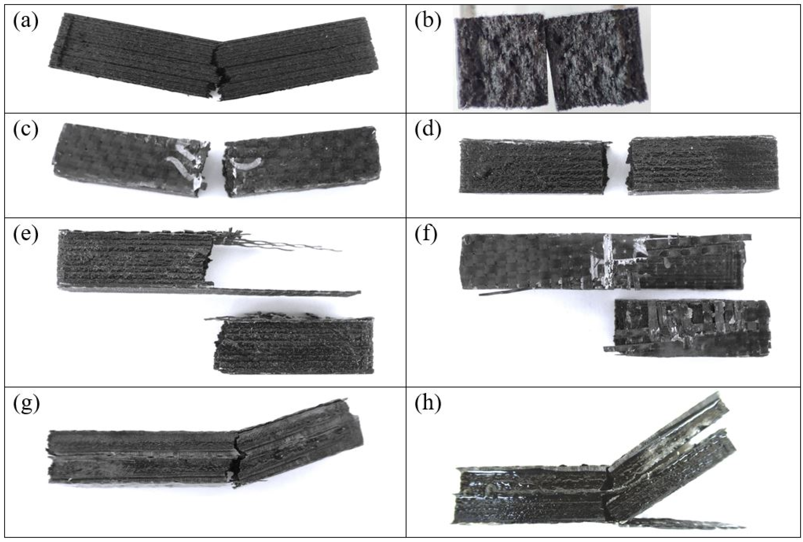 Preprints 180095 g014