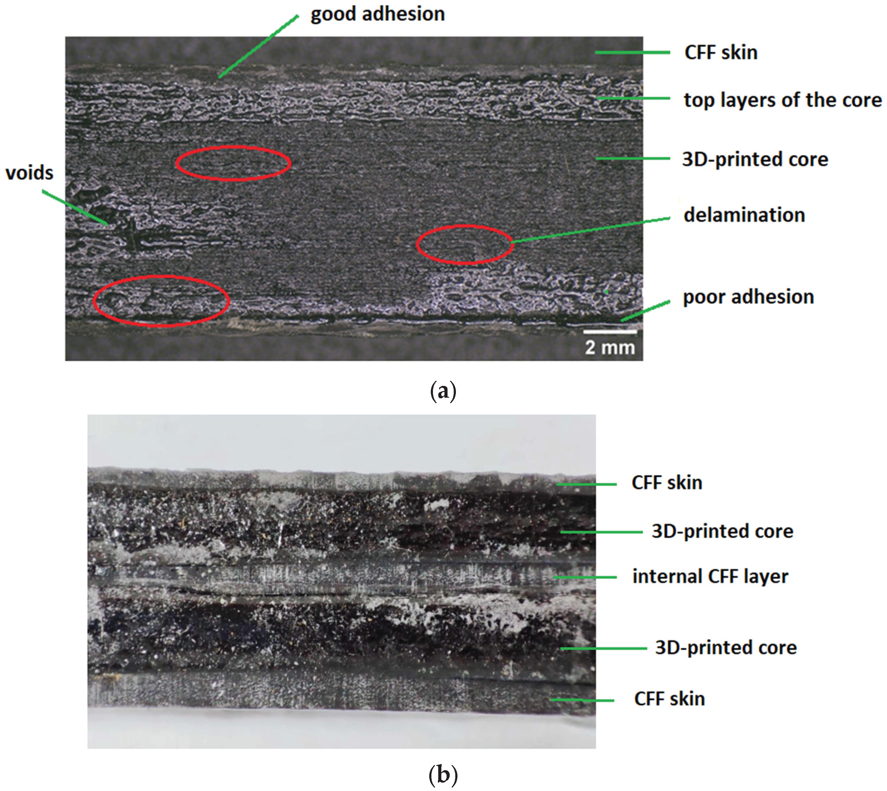 Preprints 180095 g017