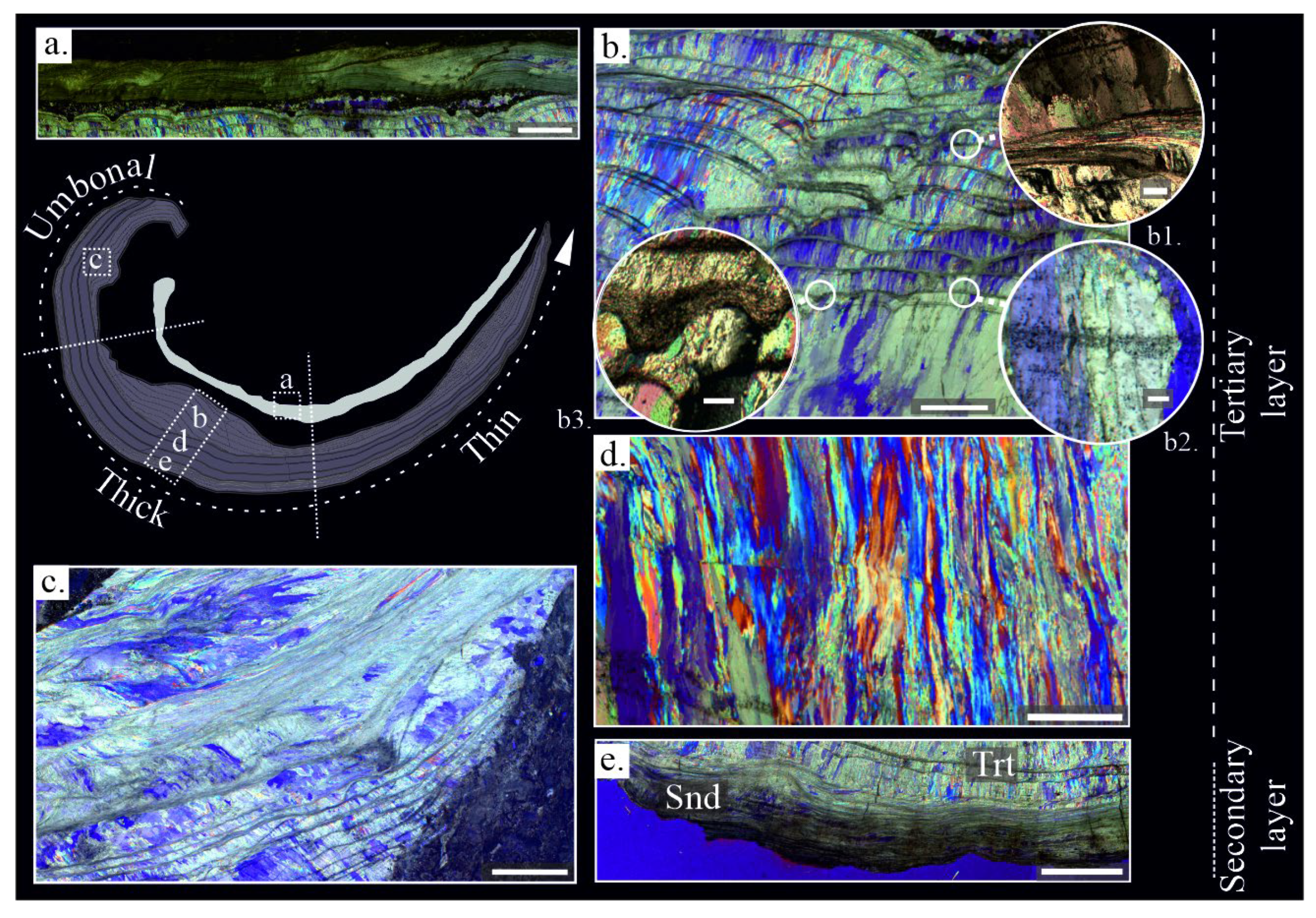 Preprints 68533 g002