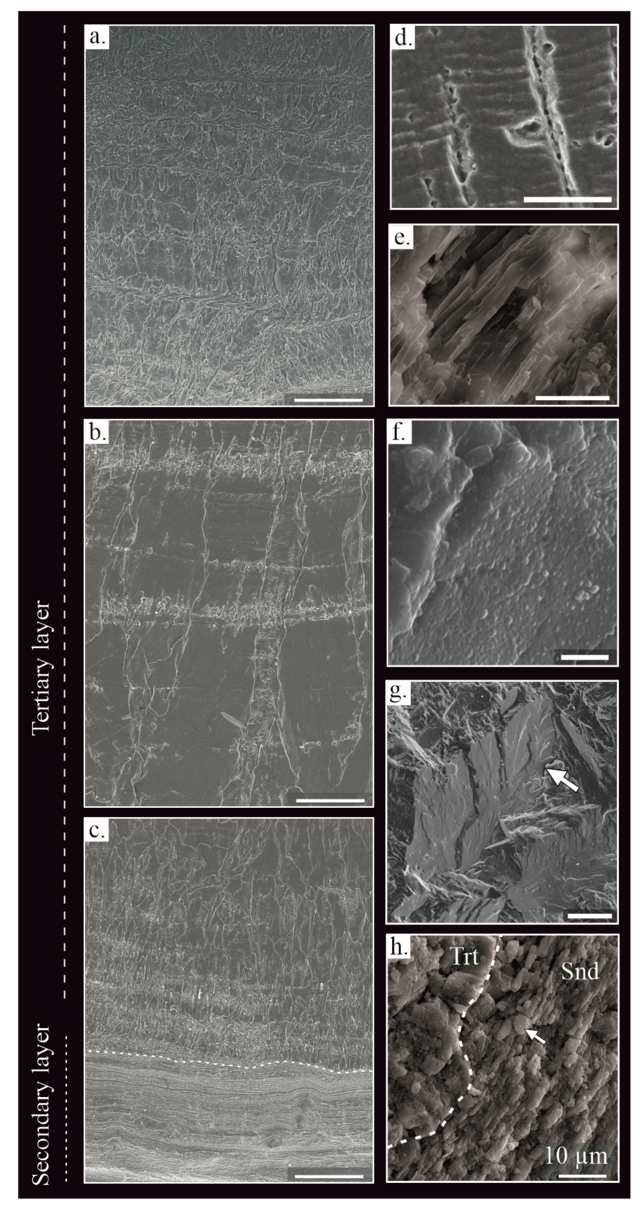 Preprints 68533 g003