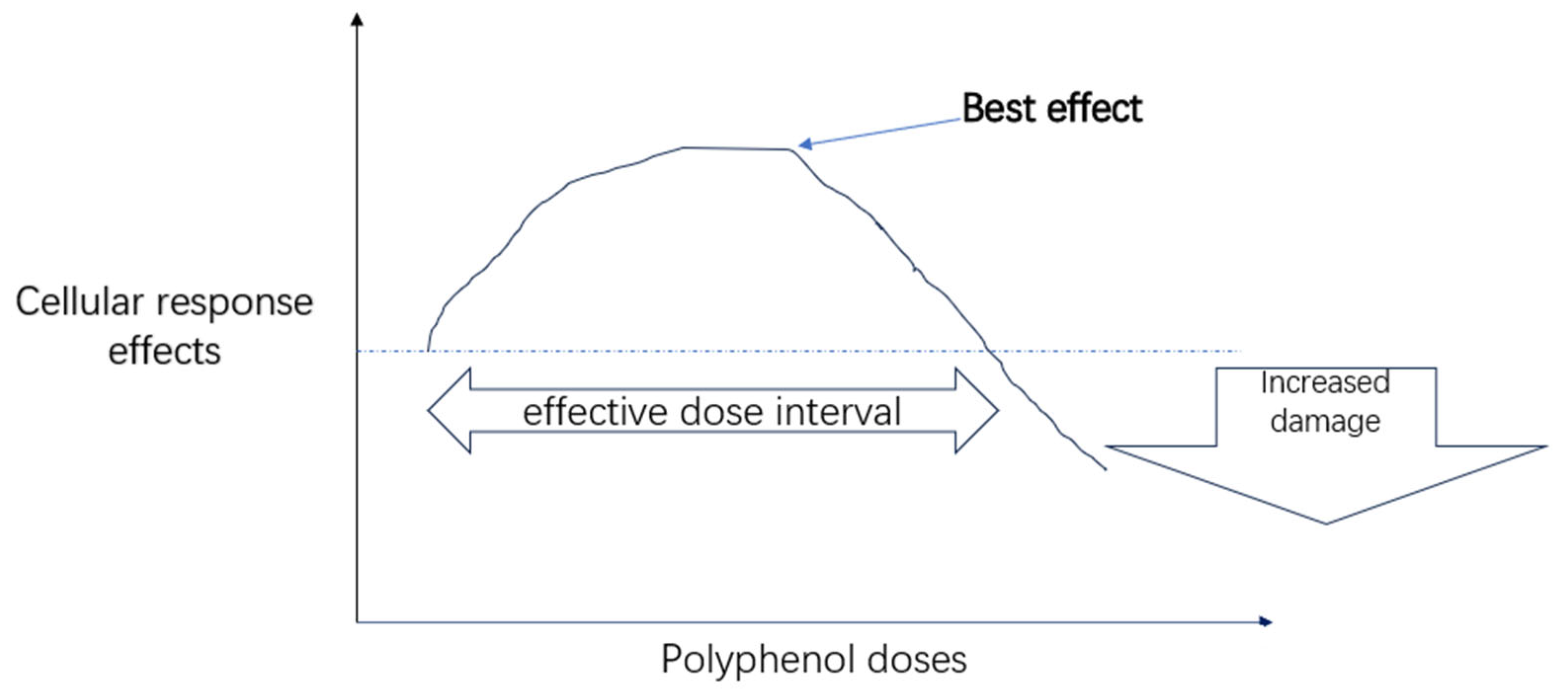 Preprints 161897 g001