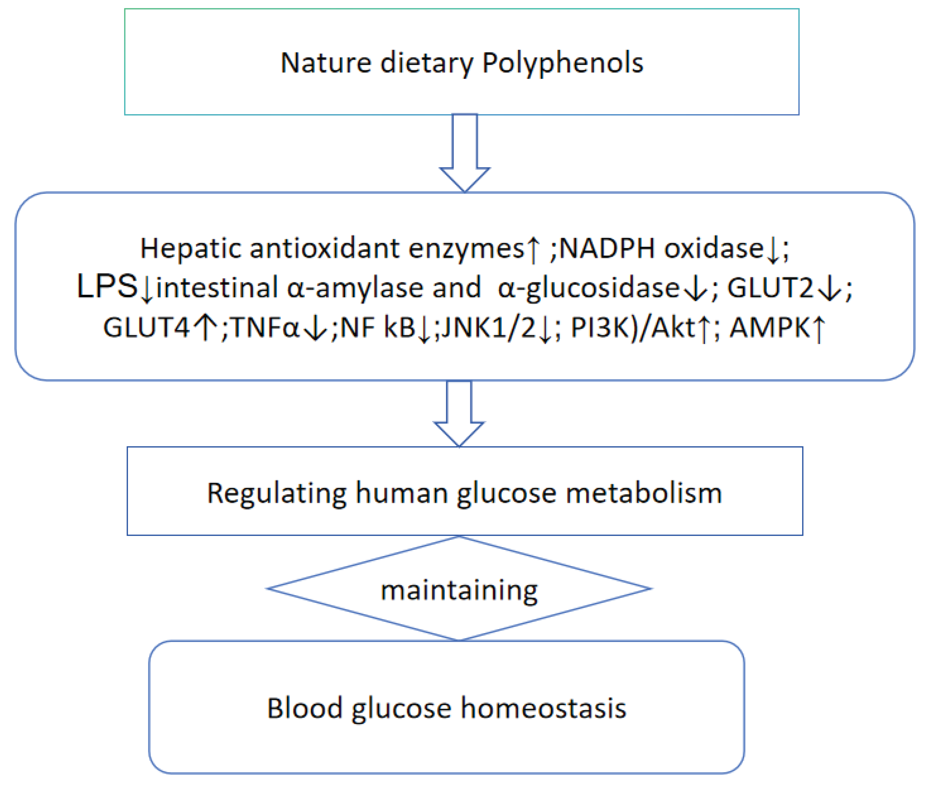 Preprints 161897 g003
