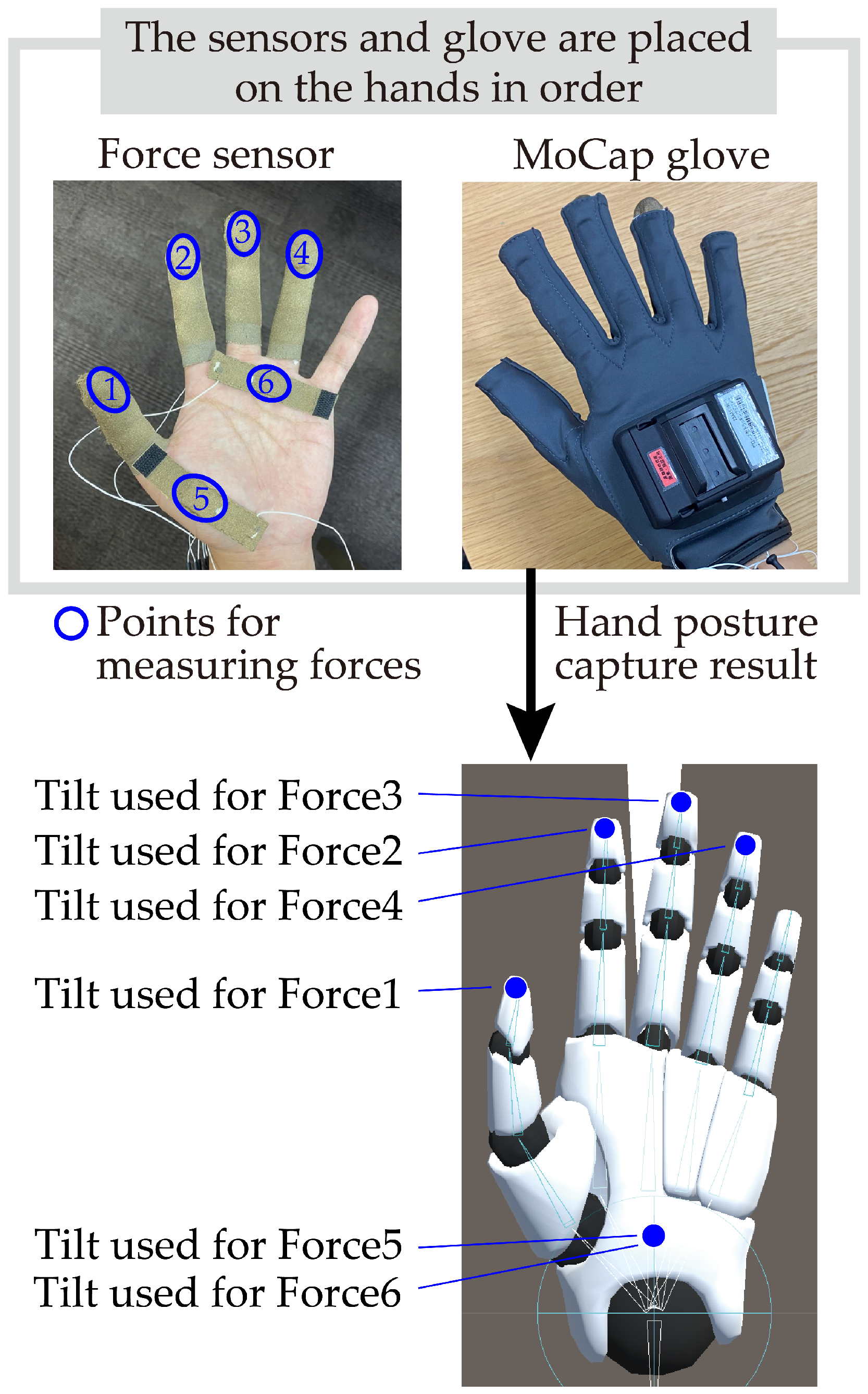 Preprints 164807 g003