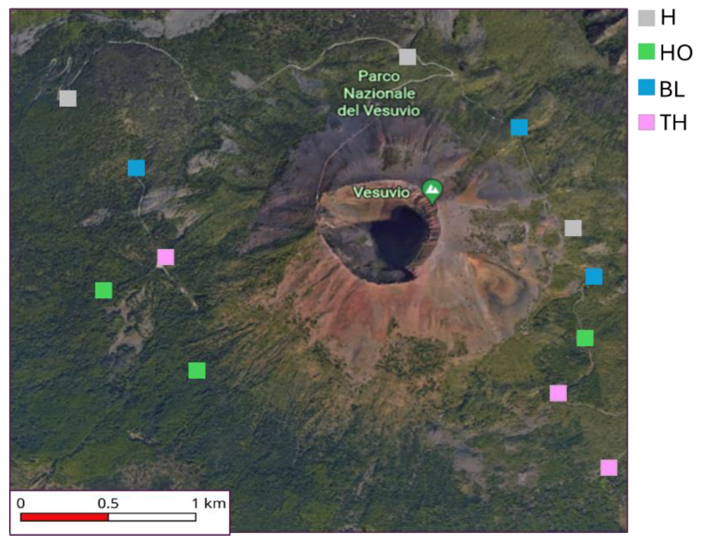 Preprints 142348 g001