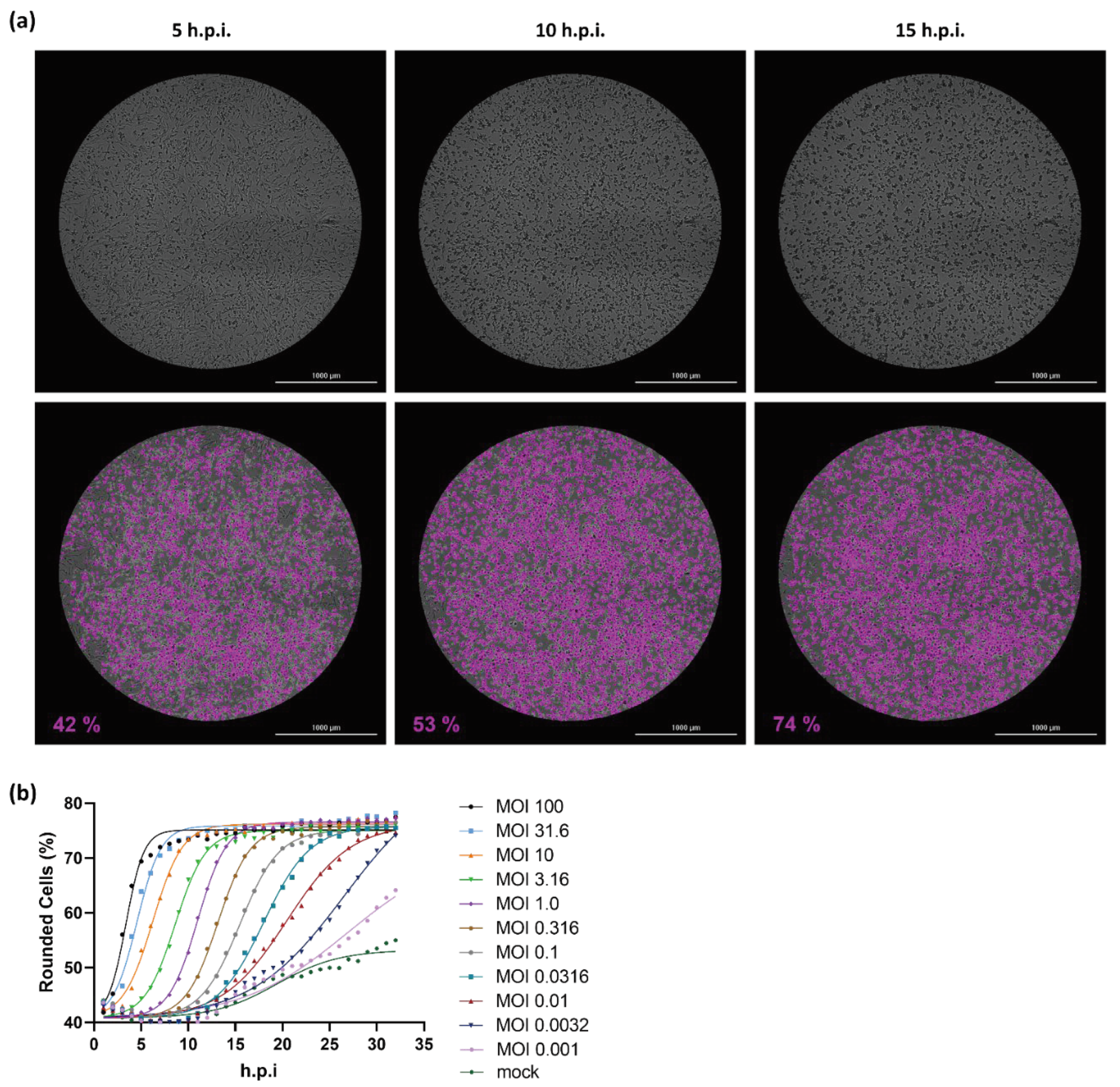 Preprints 101304 g001