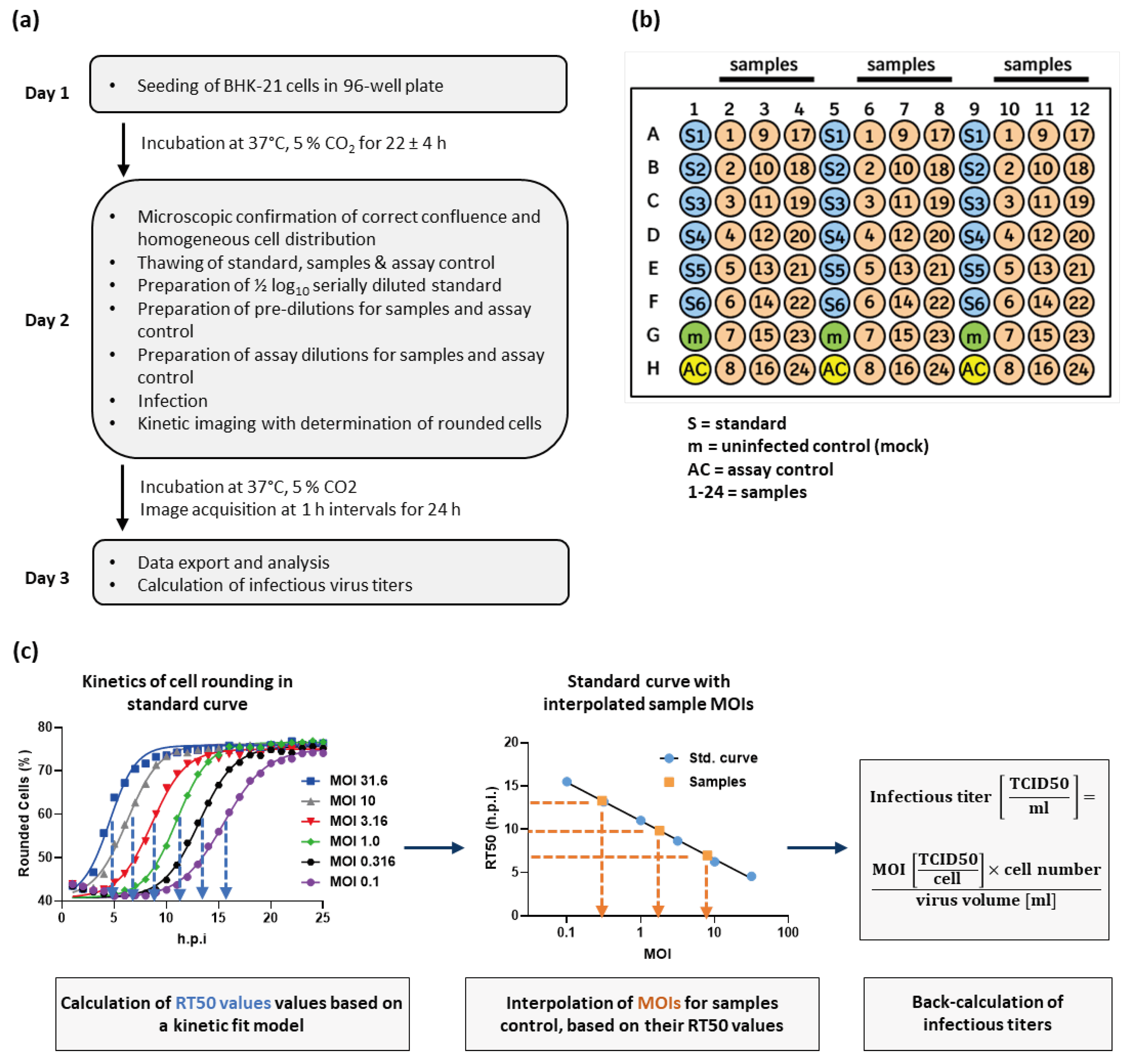 Preprints 101304 g003