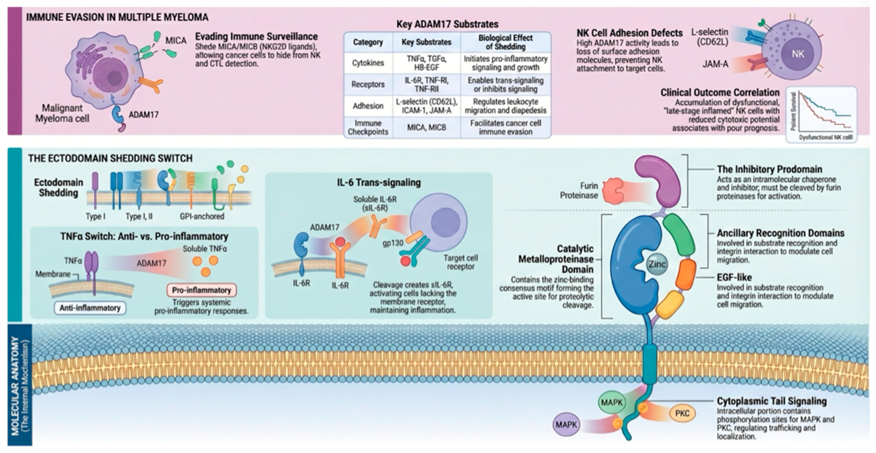 Preprints 208241 g001