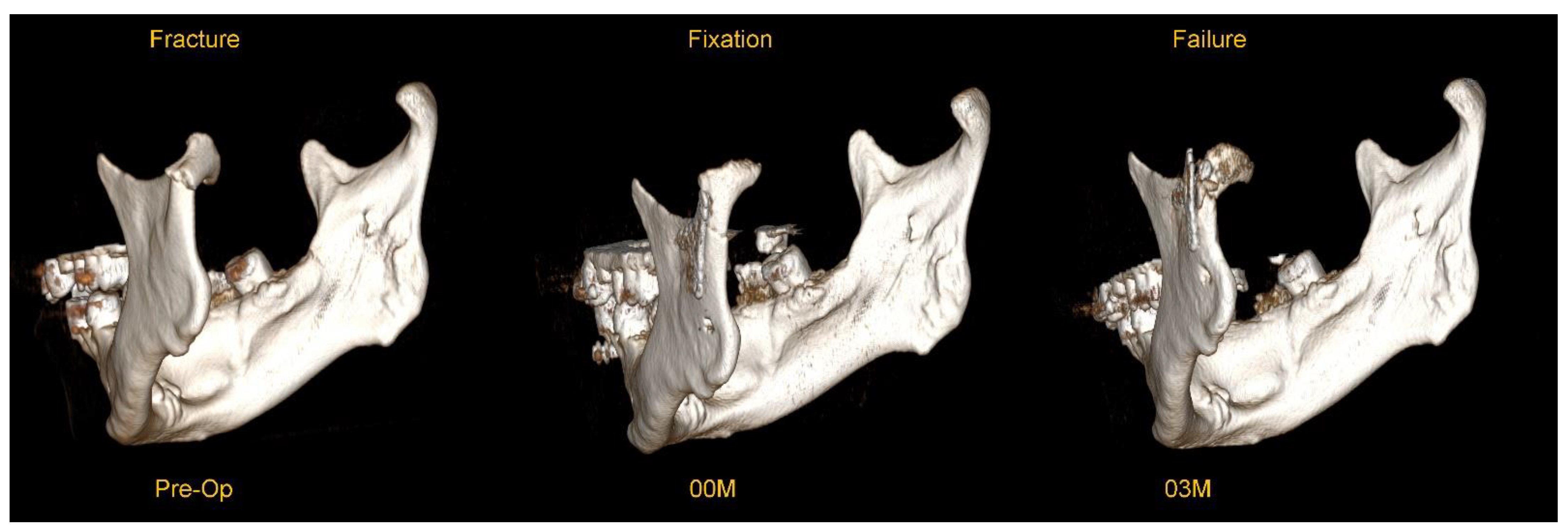 Preprints 175913 g001