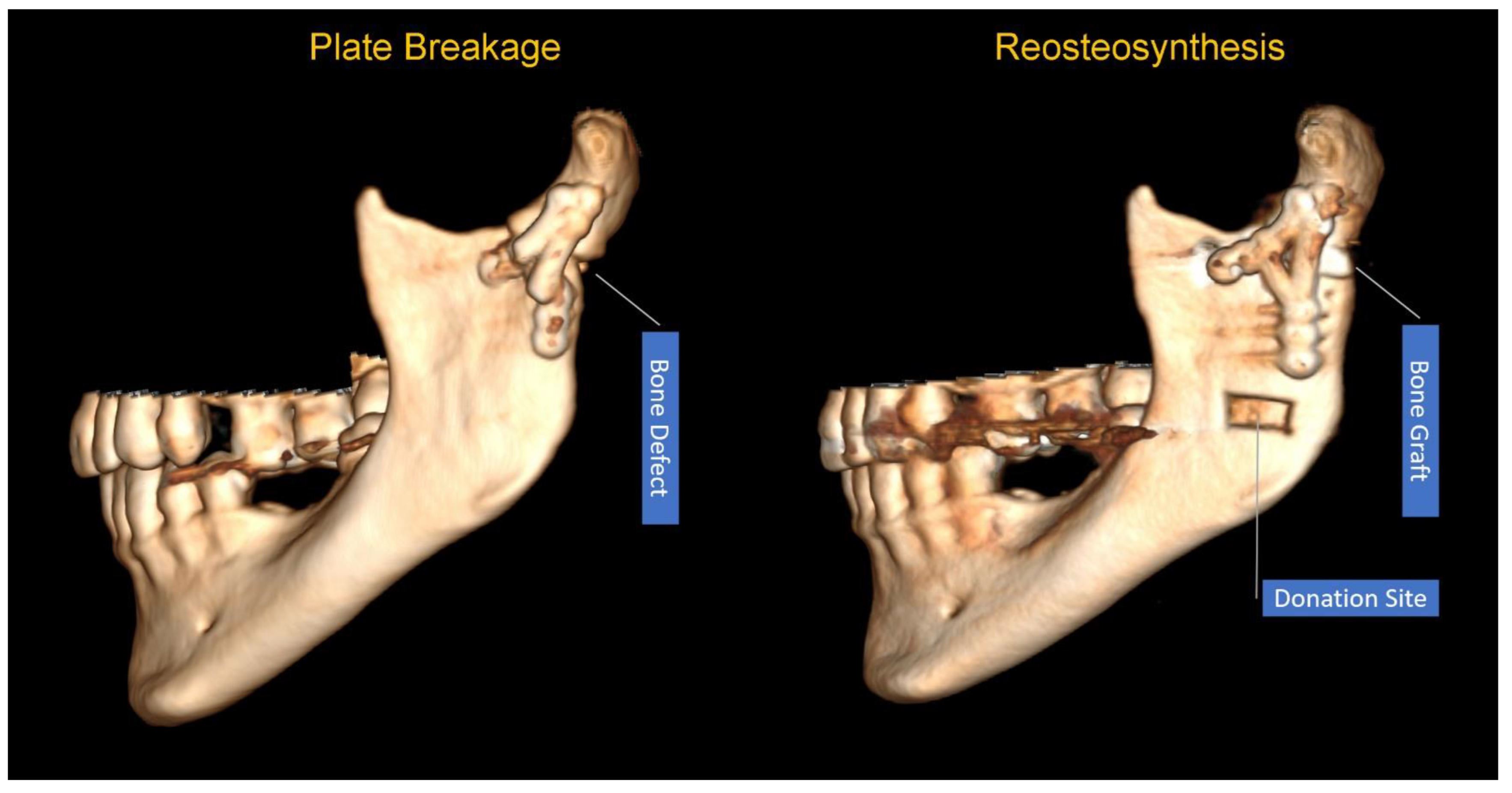 Preprints 175913 g003