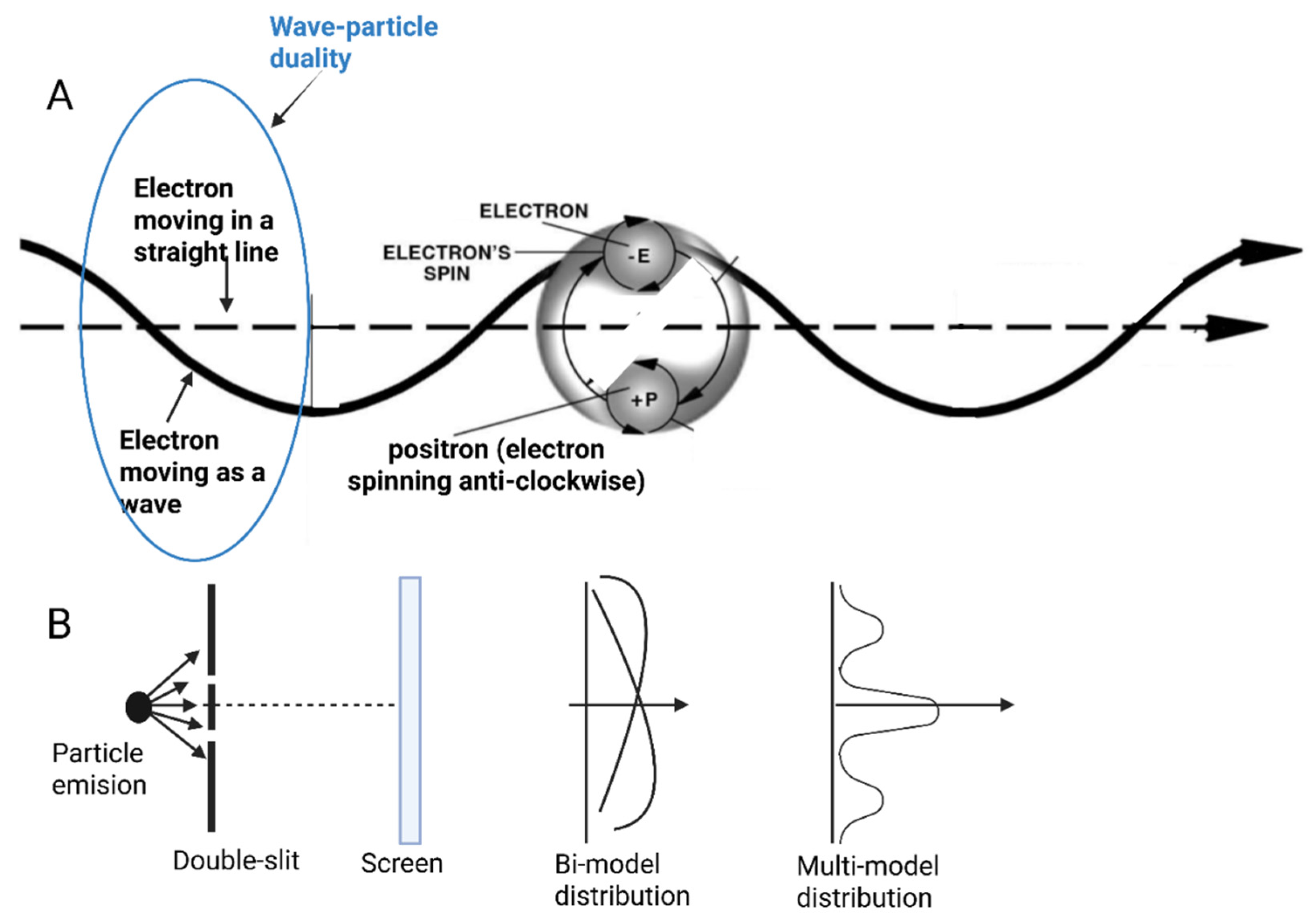 Bacterial Communication: Quorum Sensing, Quantum Mechanics, and Quantum ...
