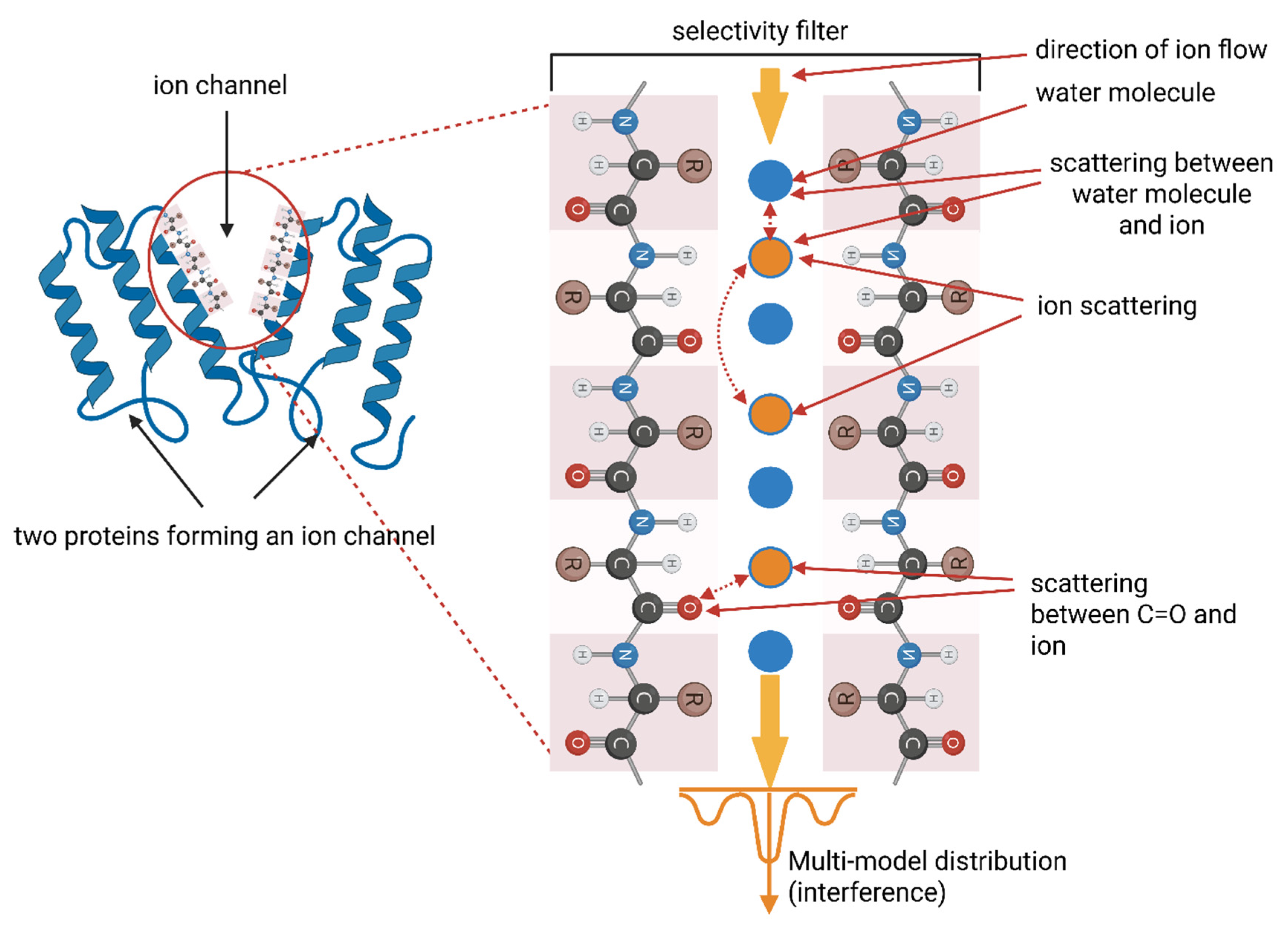 Bacterial Communication: Quorum Sensing, Quantum Mechanics, and Quantum ...