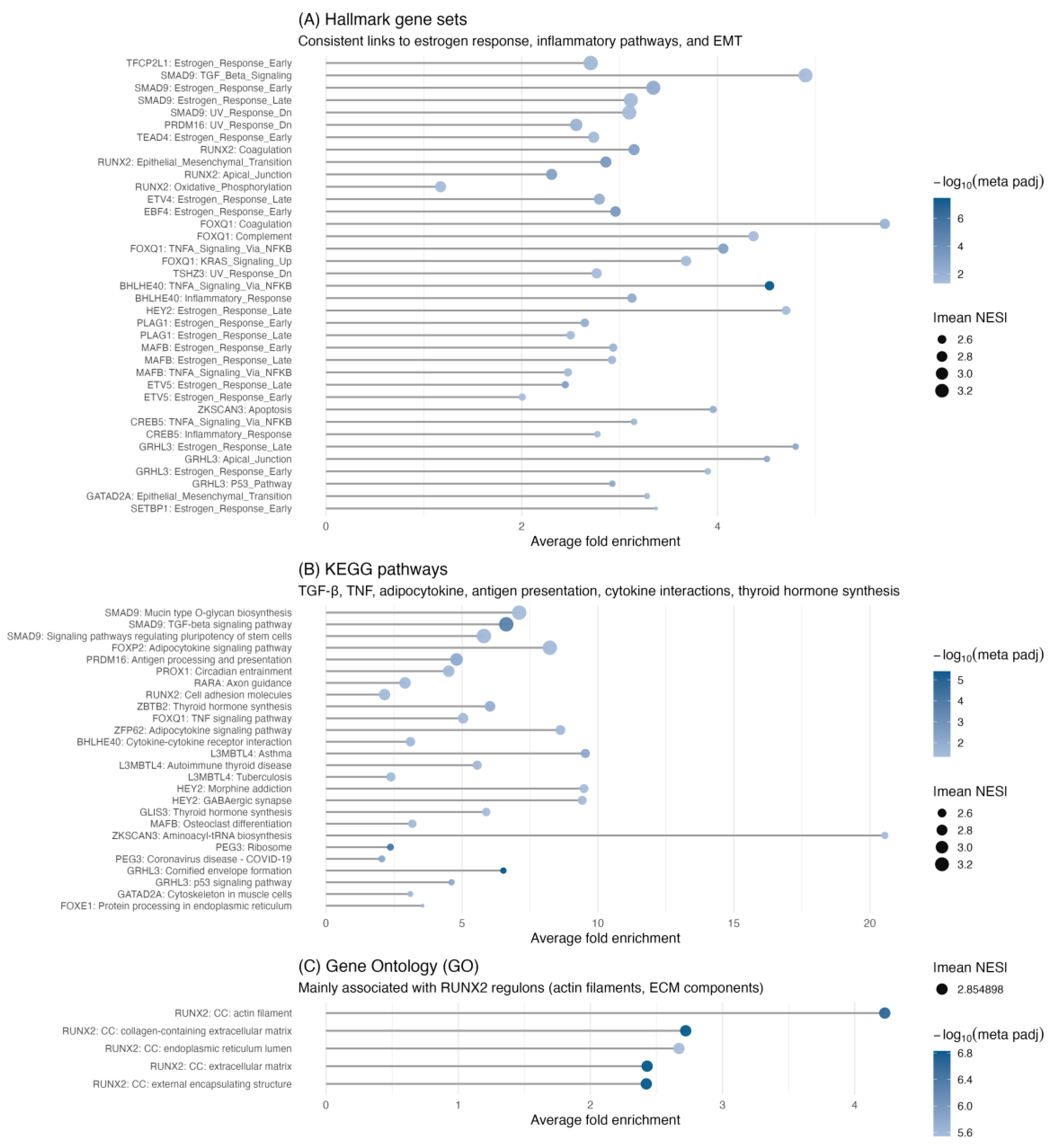 Preprints 180074 g004