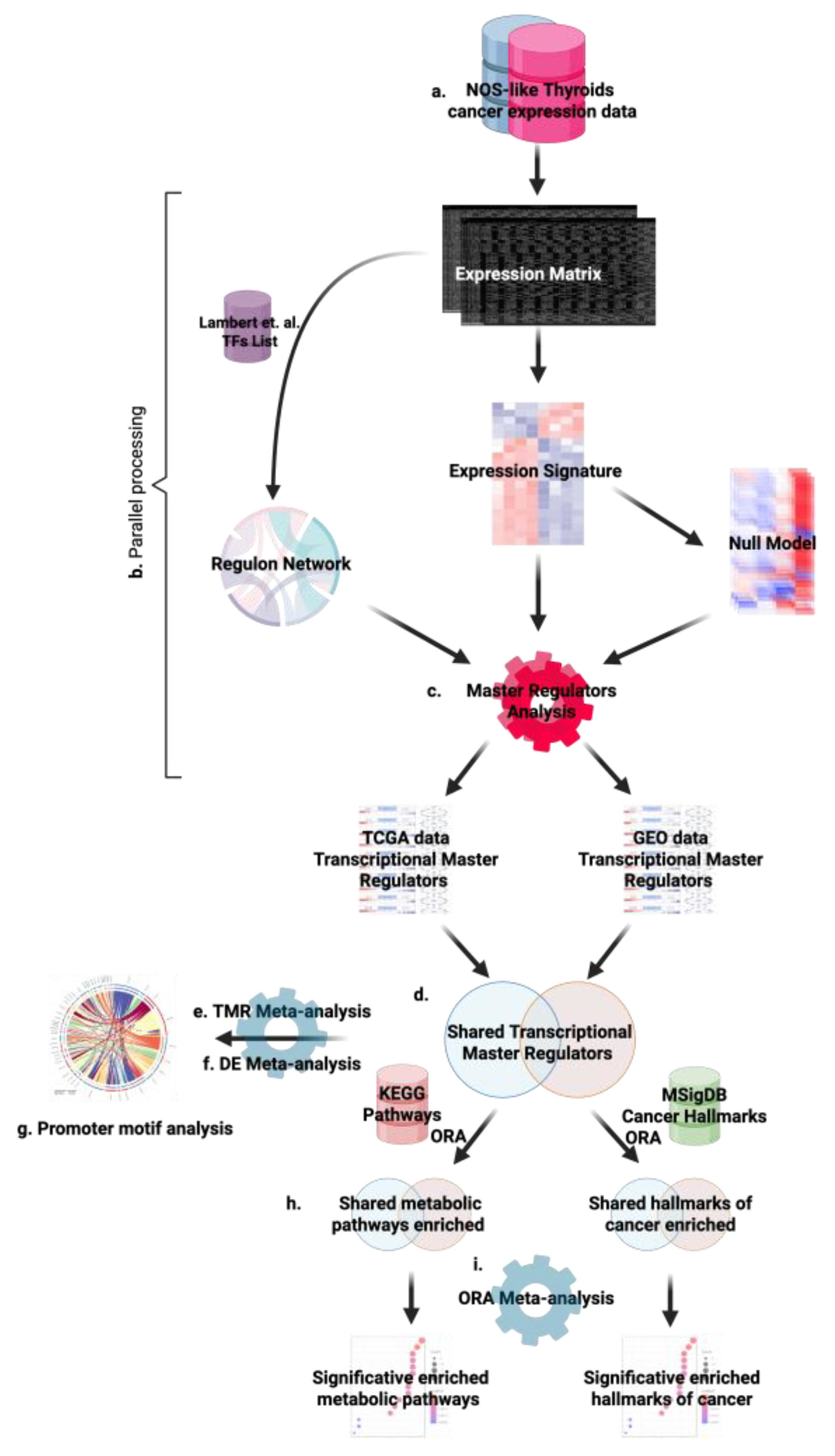 Preprints 180074 g006
