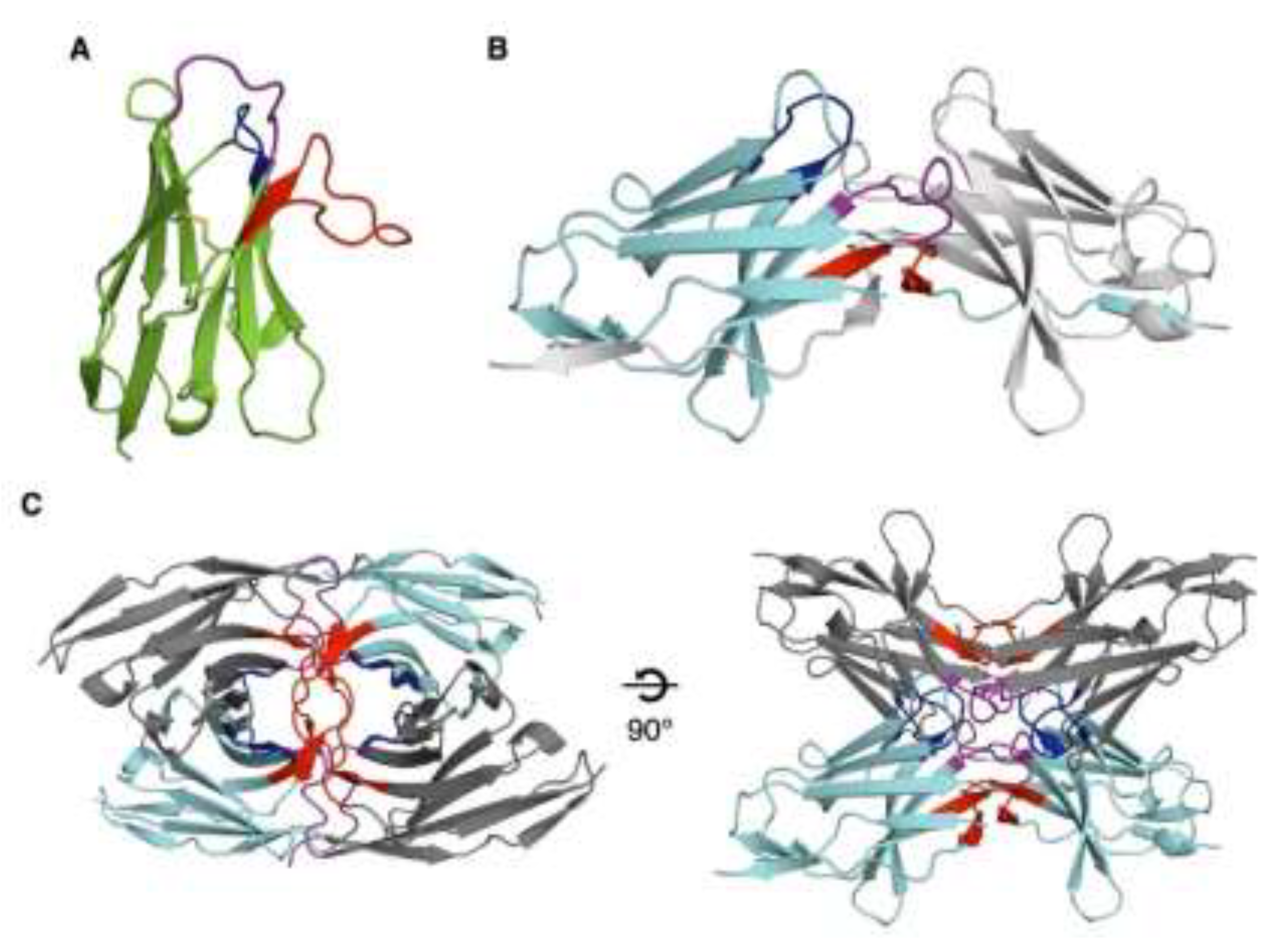 Preprints 200216 g003