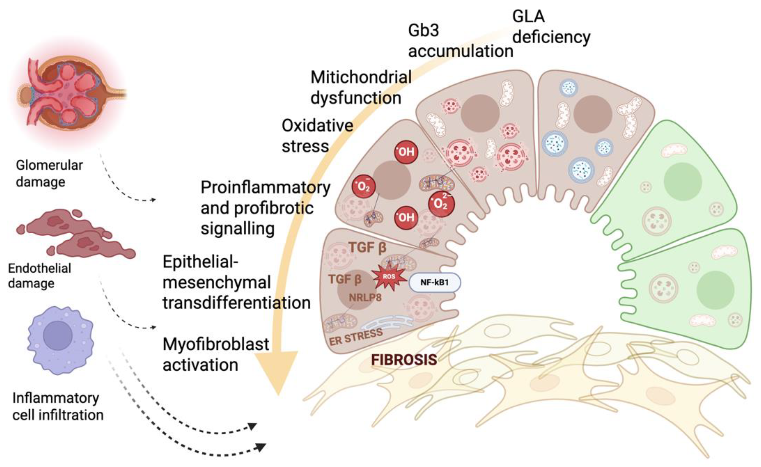 Preprints 188484 g001