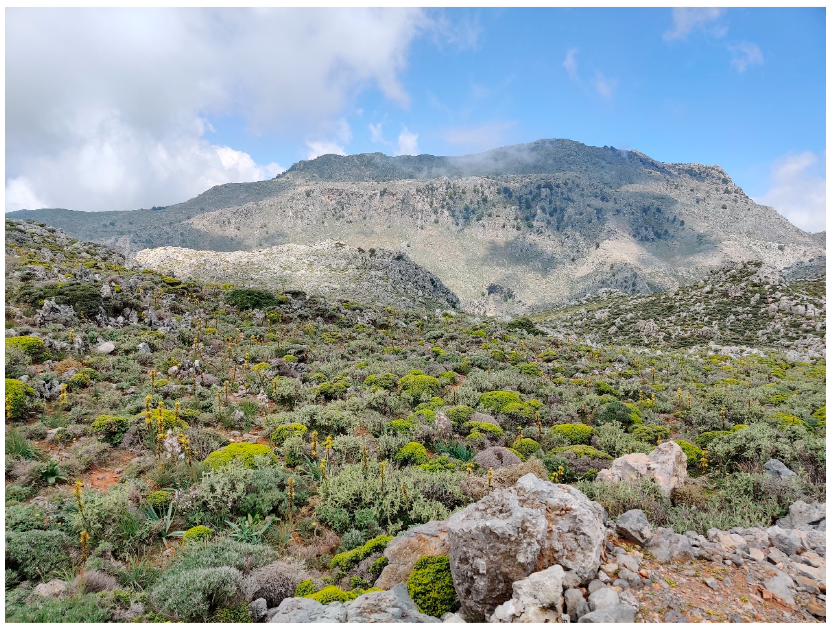 Preprints 153462 g001