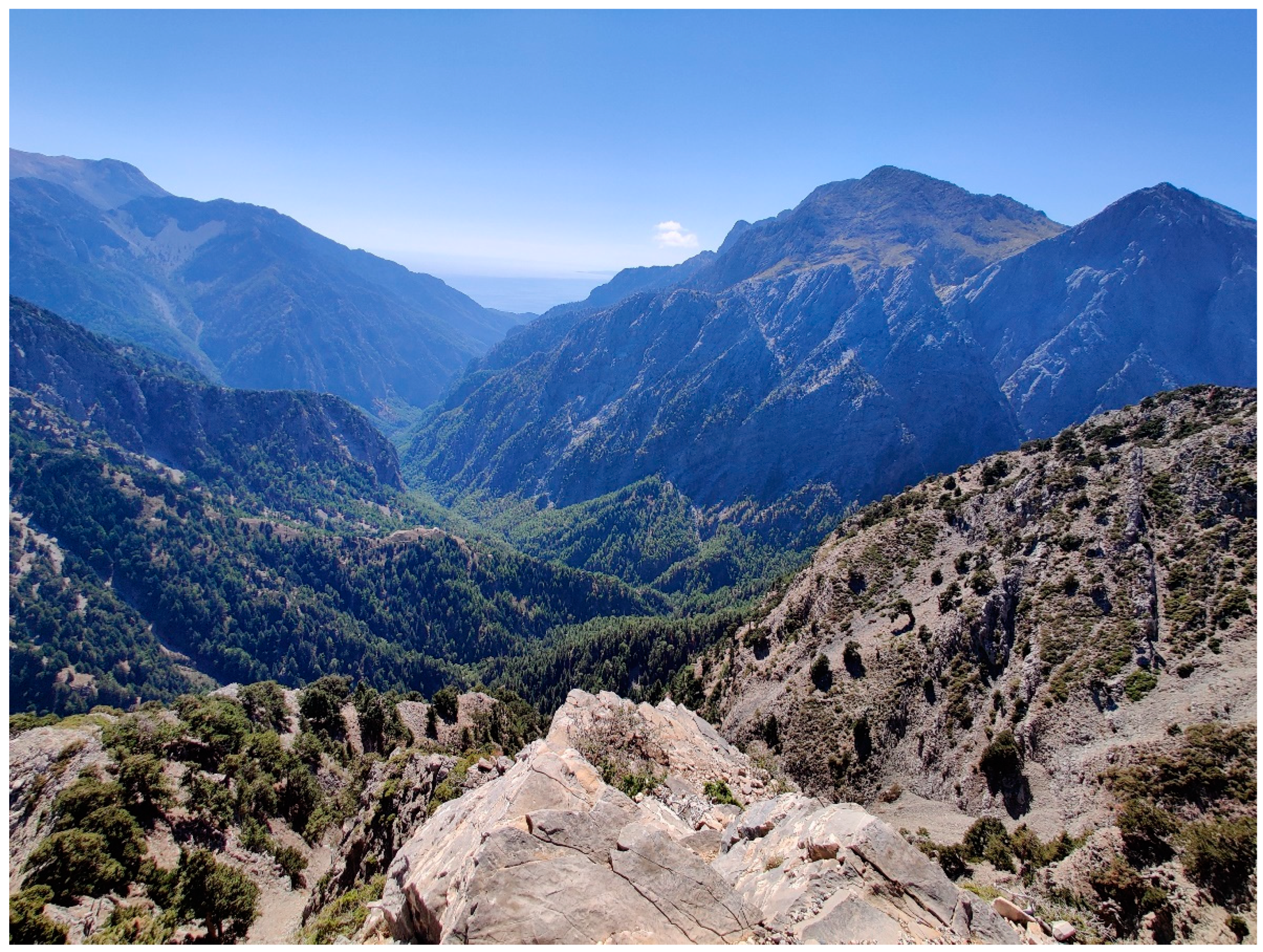 Preprints 153462 g002