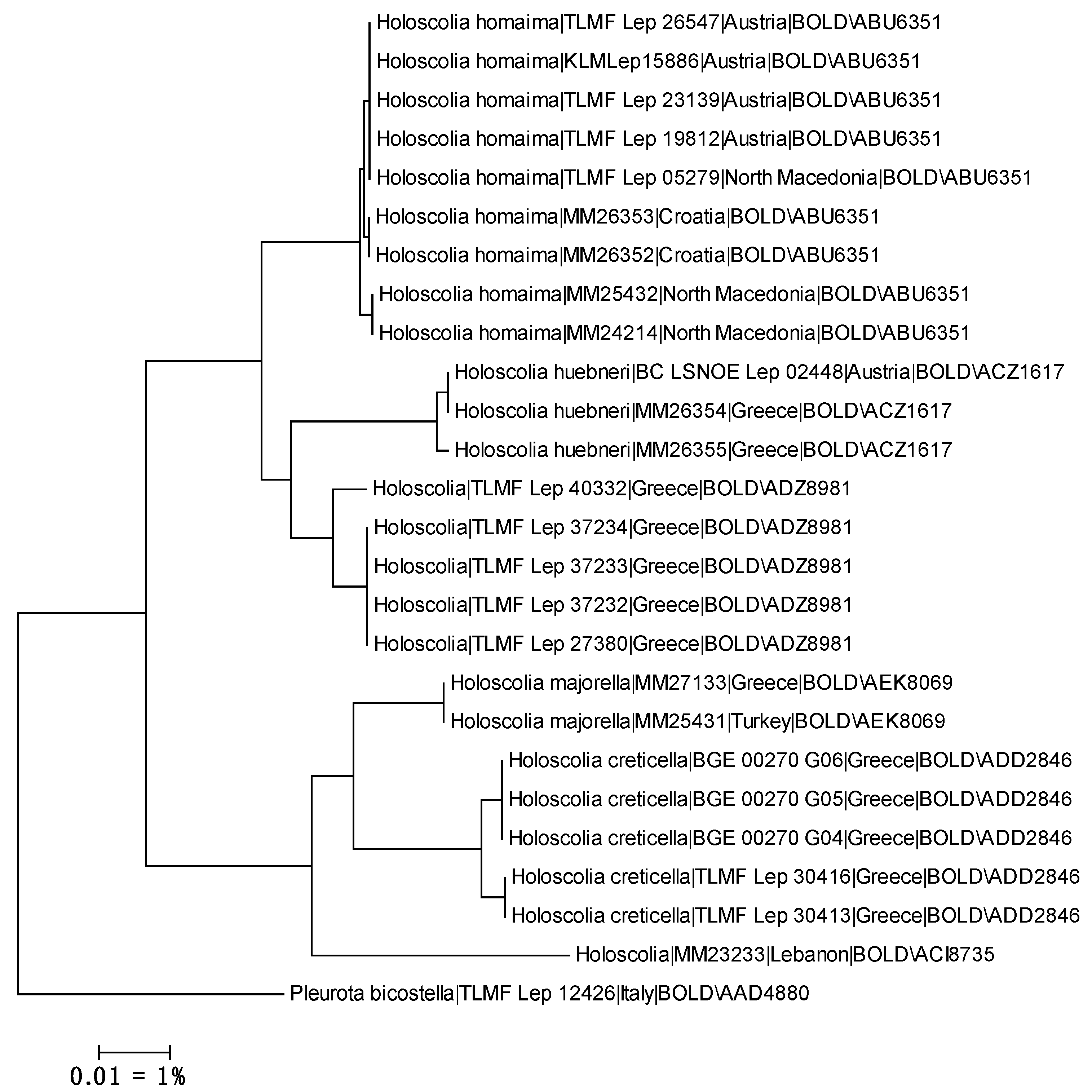Preprints 153462 g006