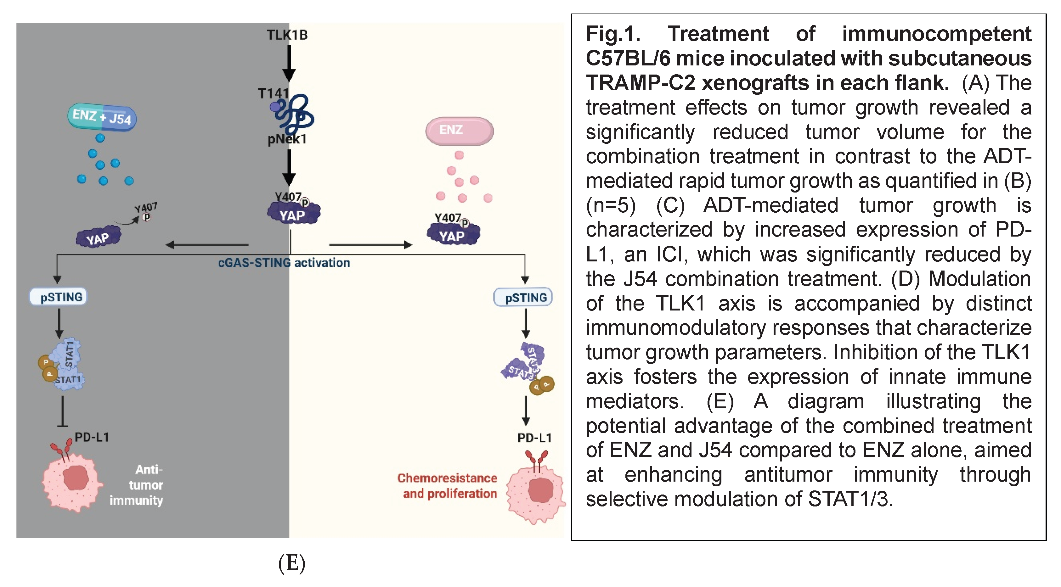 Preprints 178934 g001b