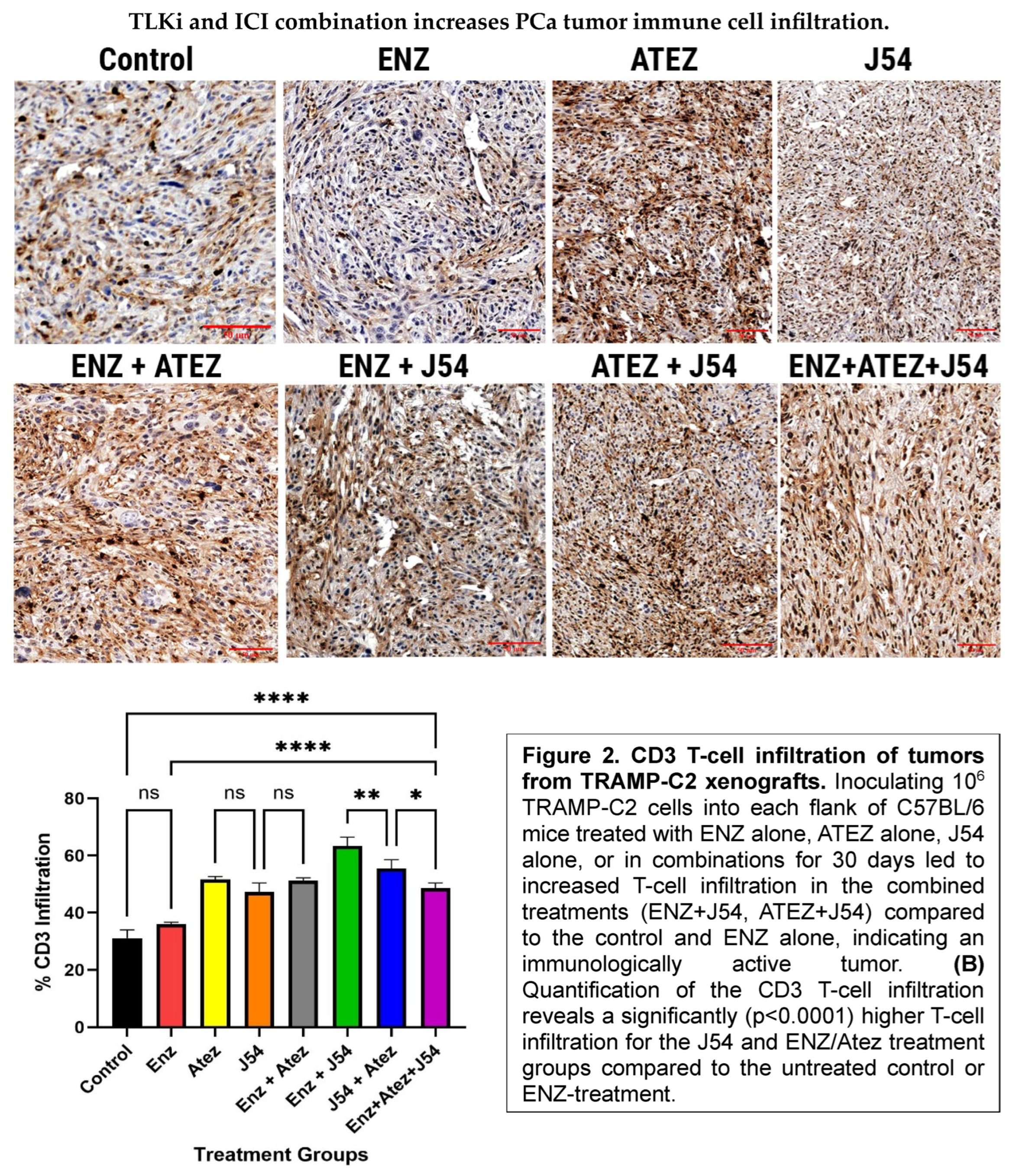 Preprints 178934 g002