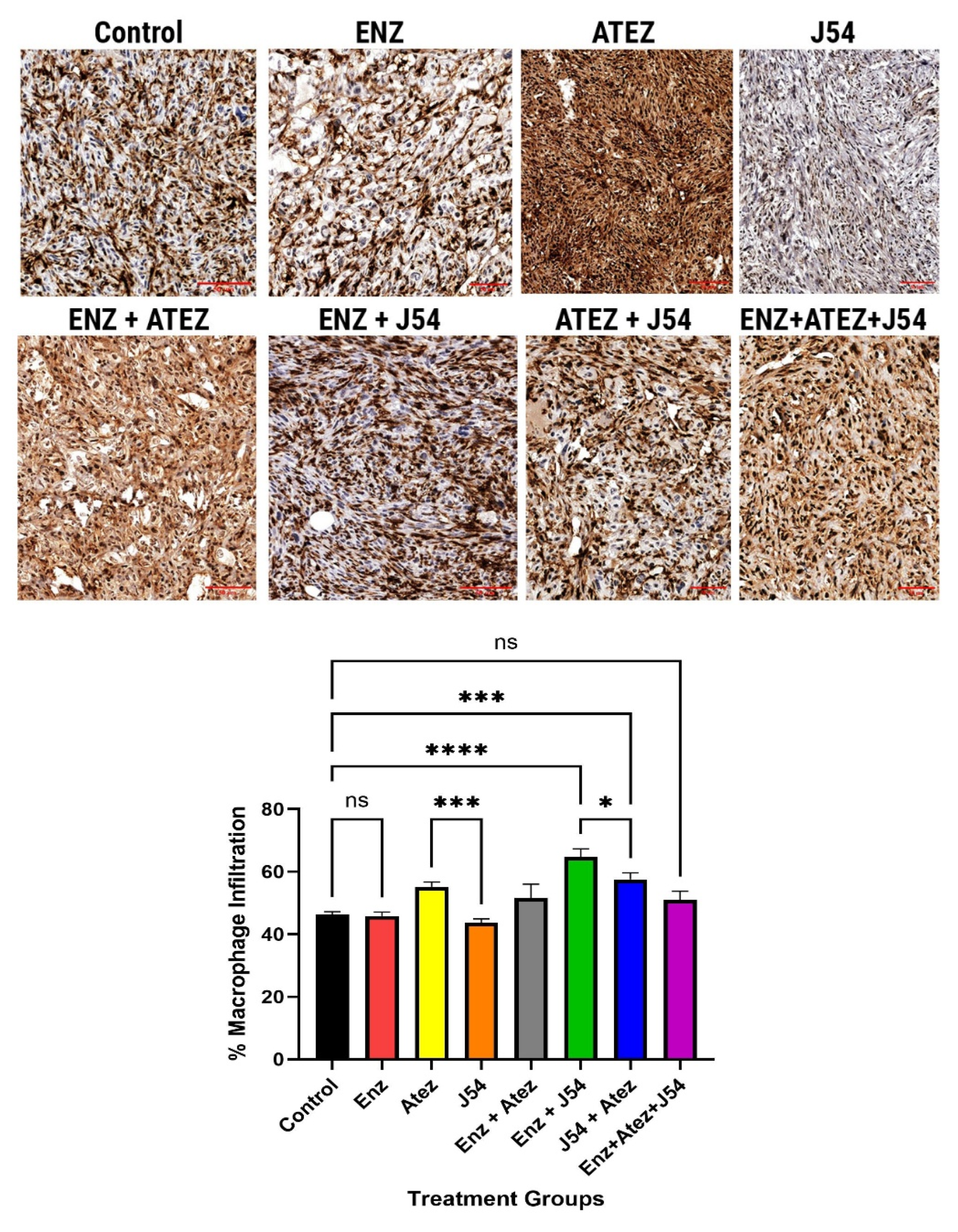Preprints 178934 g003