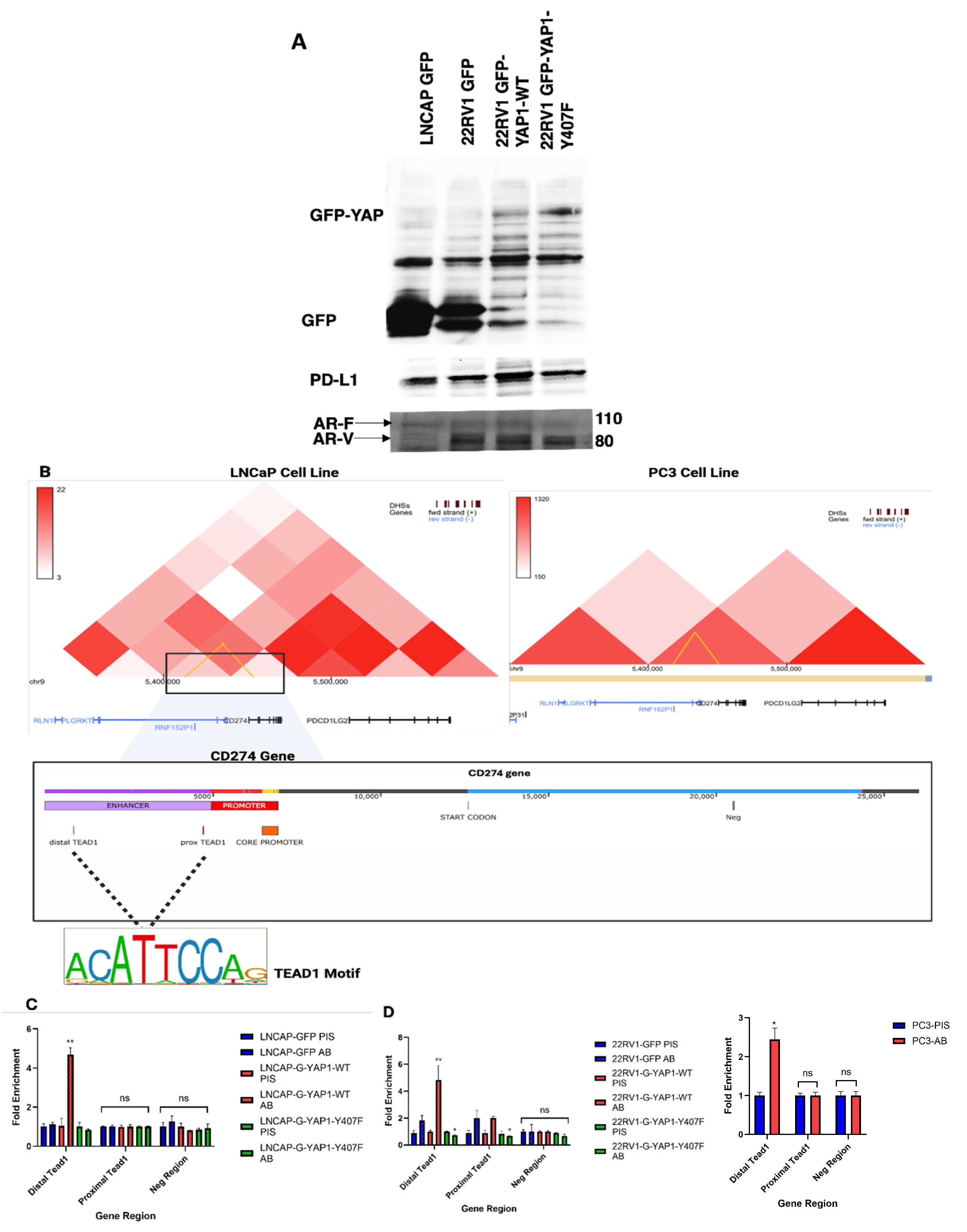 Preprints 178934 g008