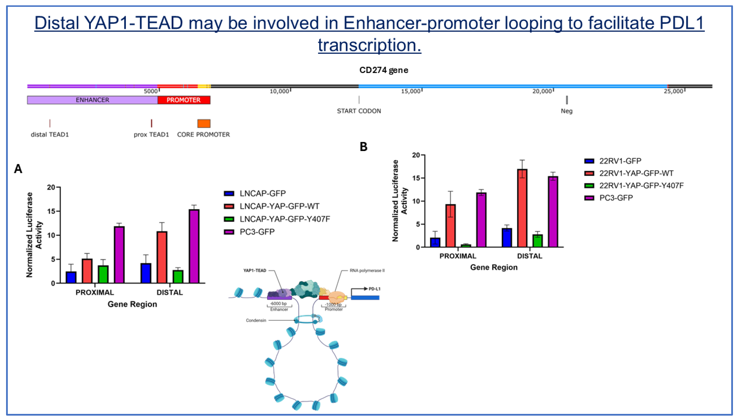 Preprints 178934 g009