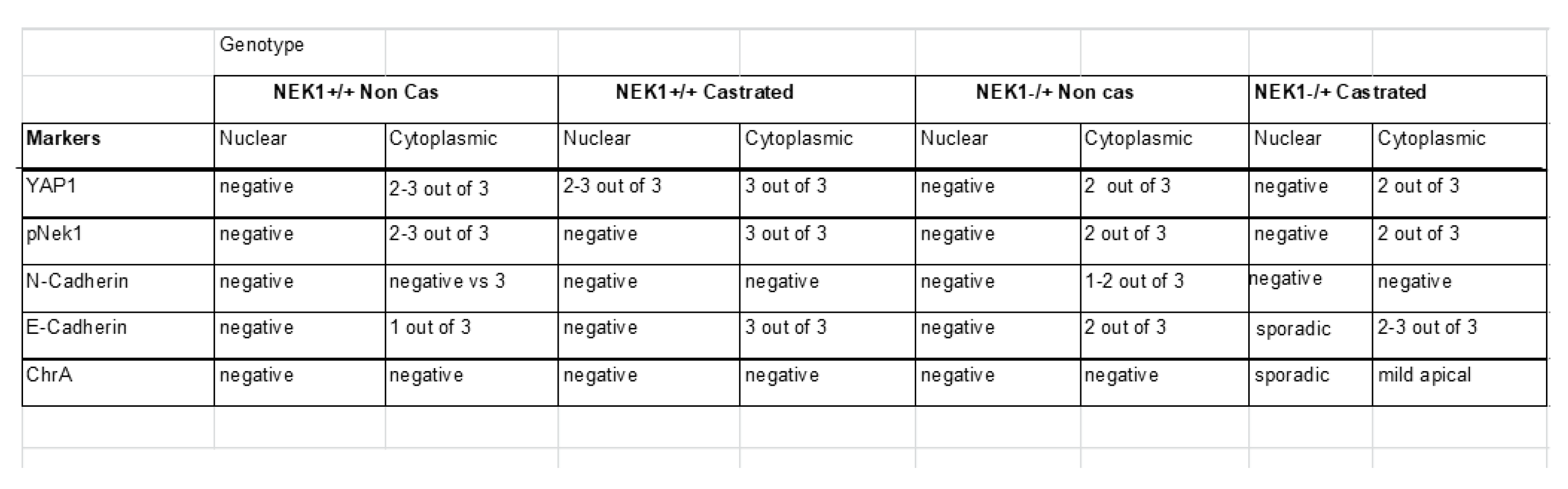 Preprints 178934 i001