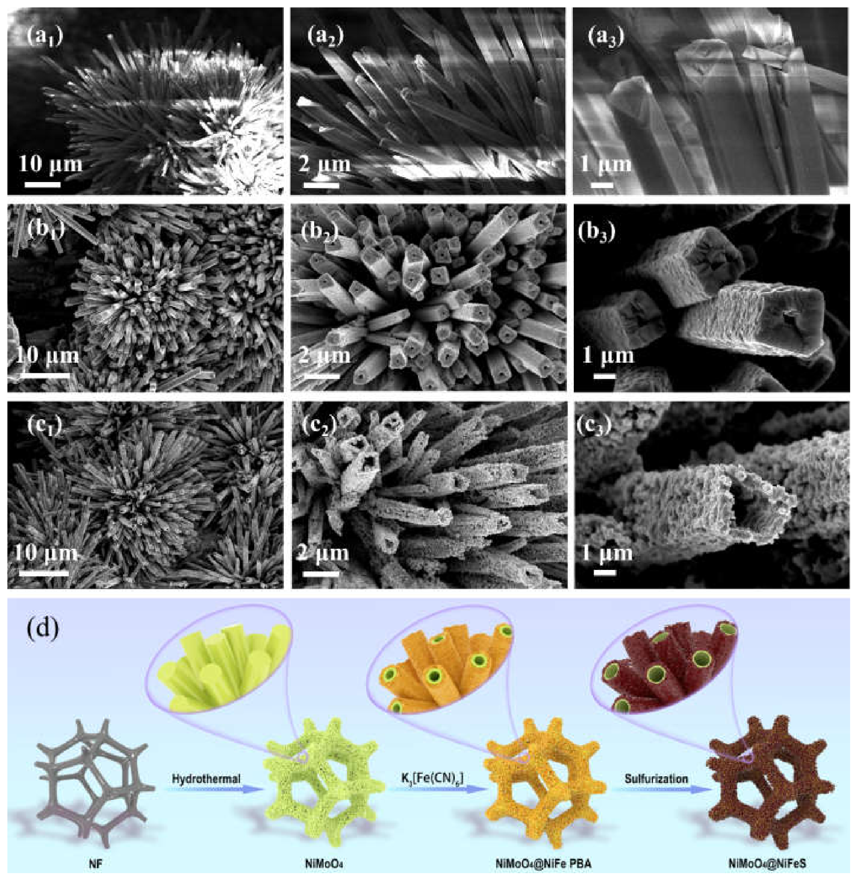 その他 FC Highly Efficient Oxygen Evolution on the Tubular Array of