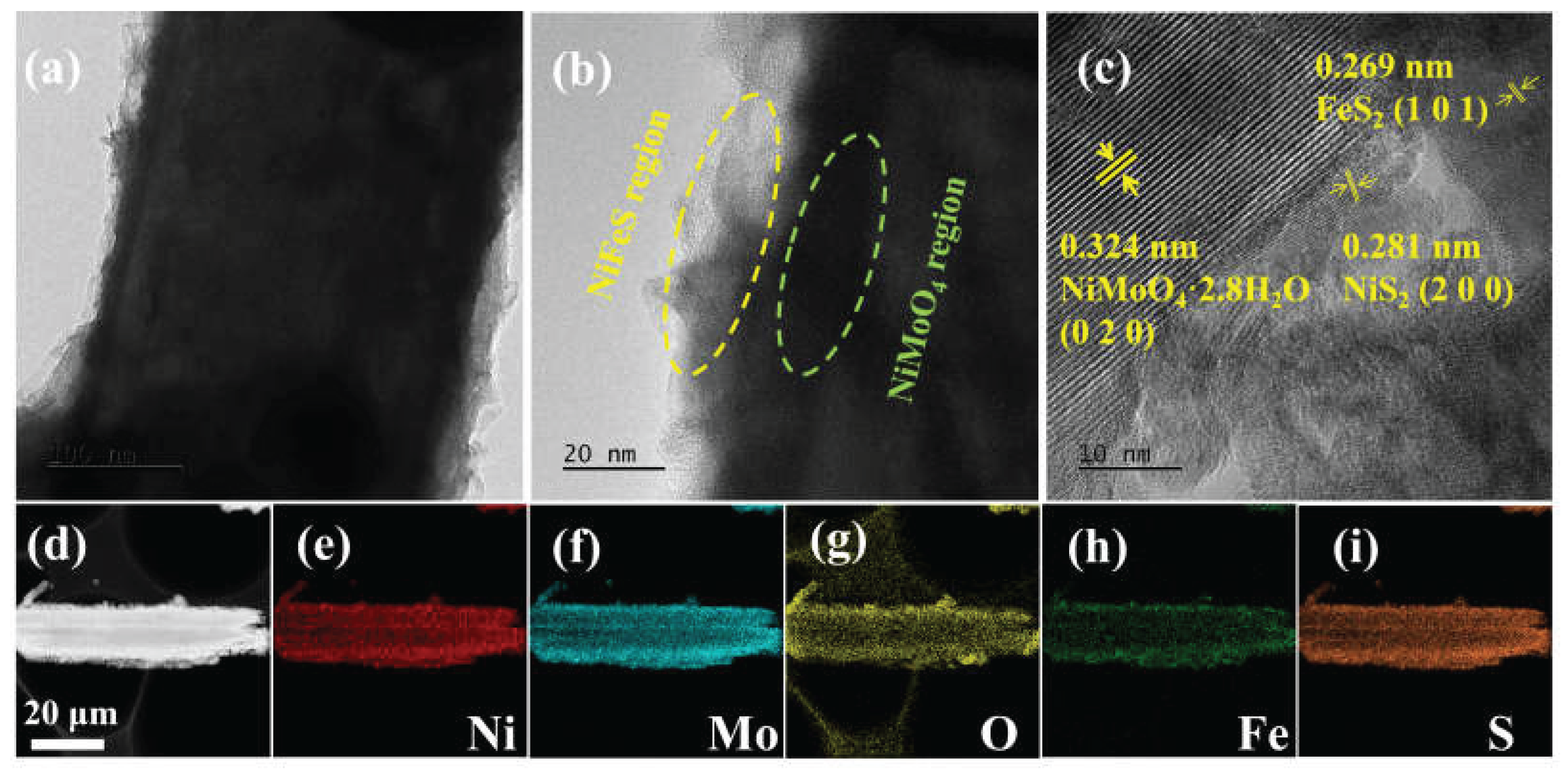 Highly Efficient Oxygen Evolution on the Tubular Array of