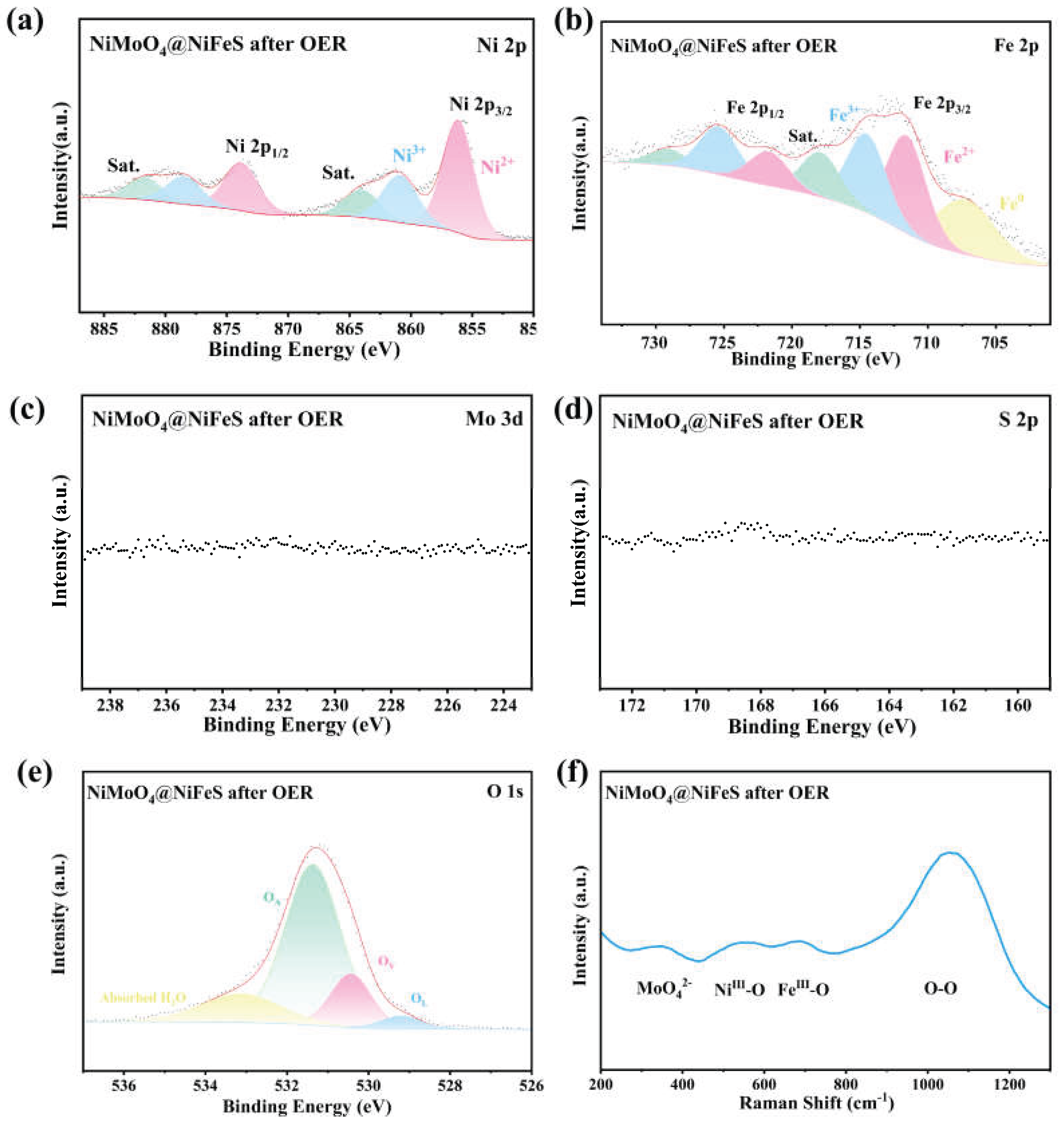 その他 FC Highly Efficient Oxygen Evolution on the Tubular Array of