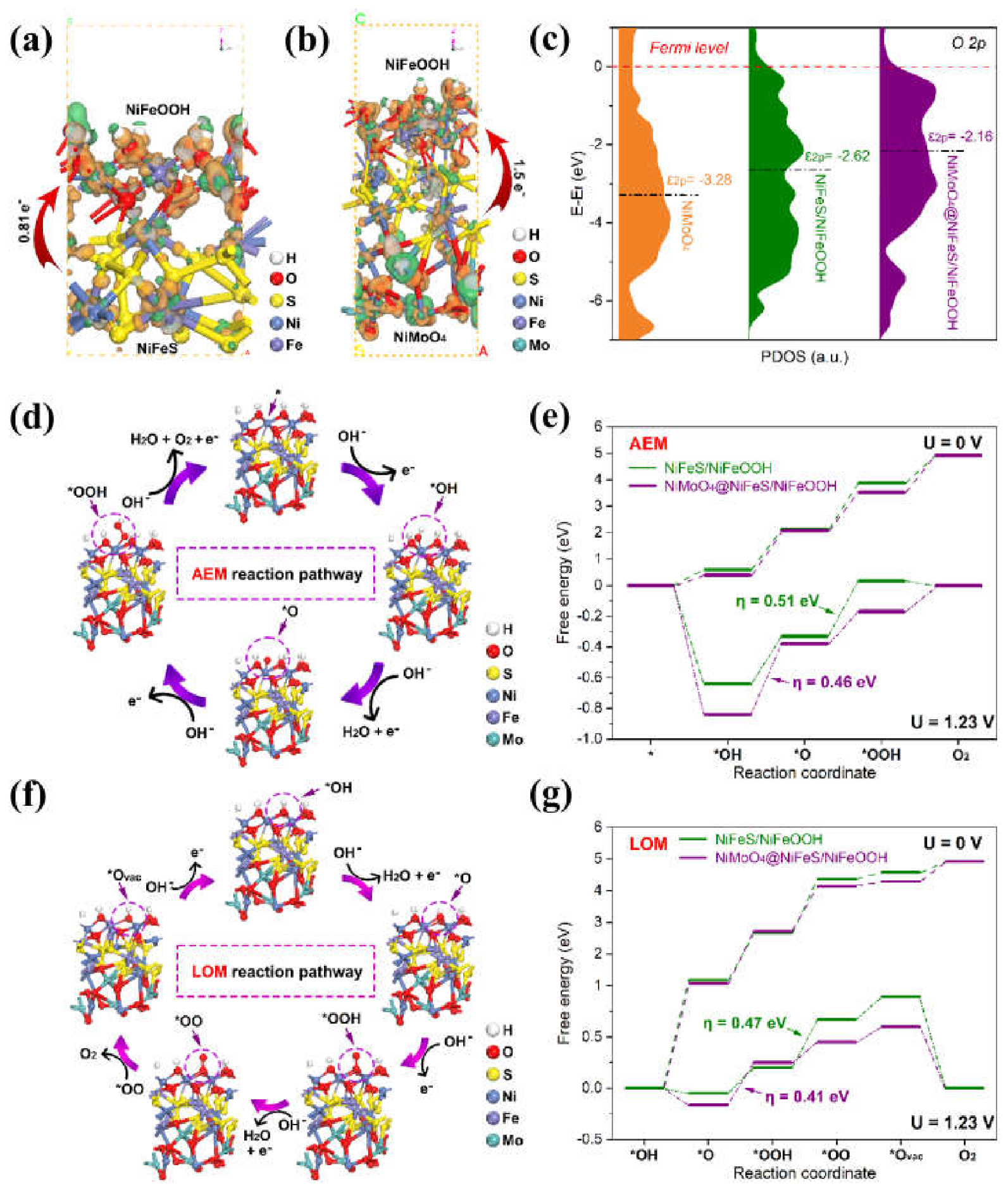Highly Efficient Oxygen Evolution on the Tubular Array of