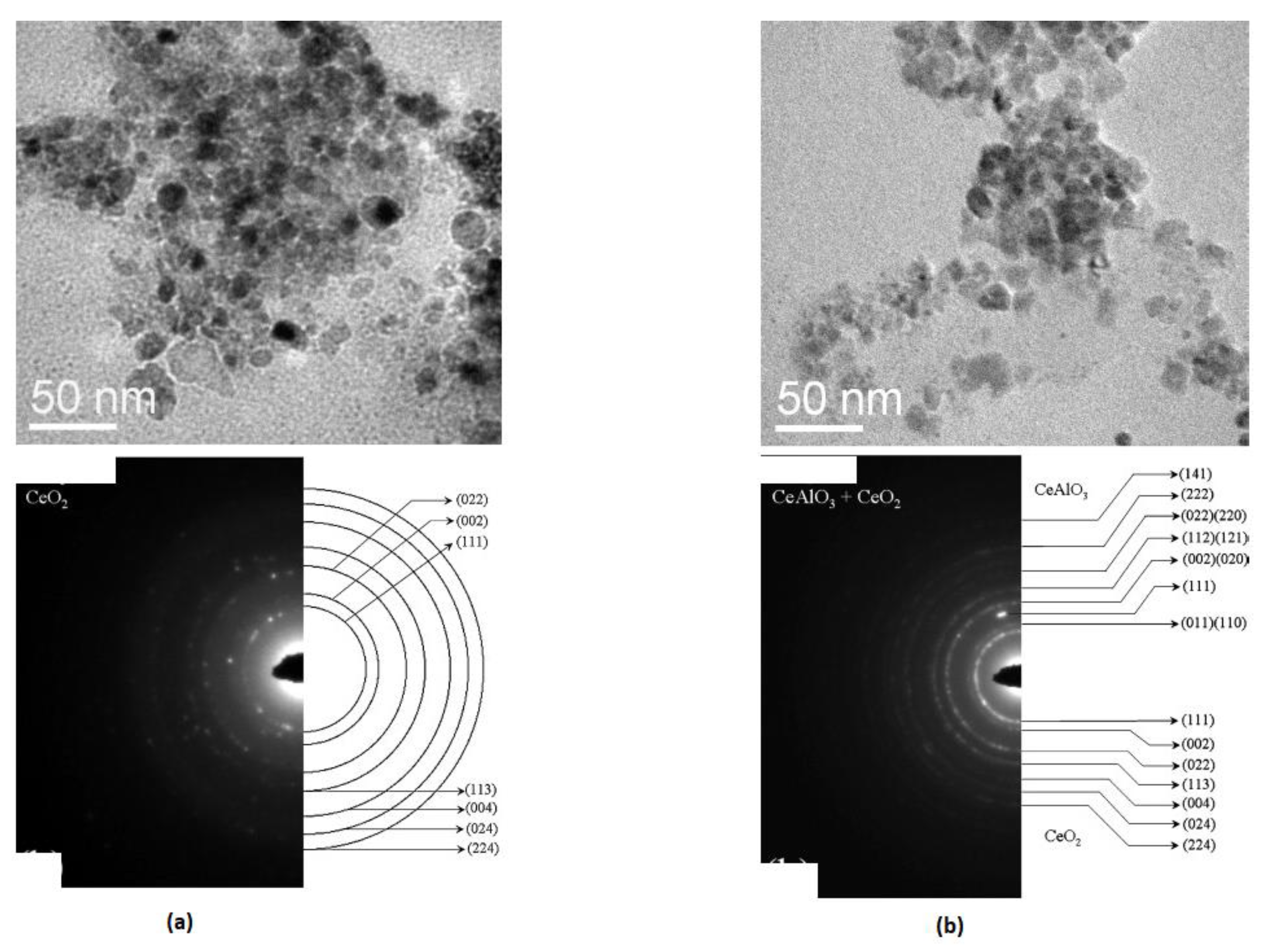 Preprints 150860 g002