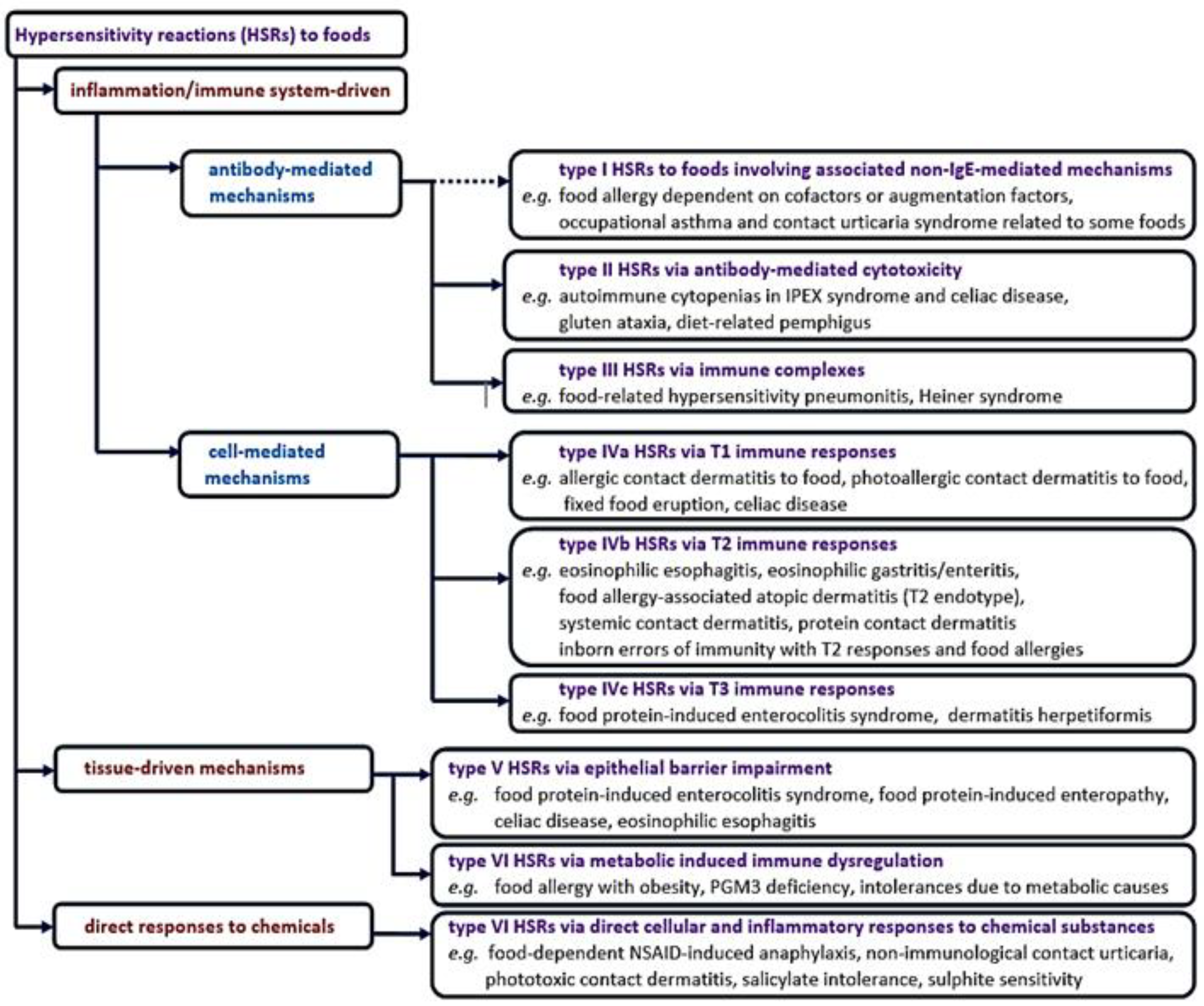 Preprints 137375 g001