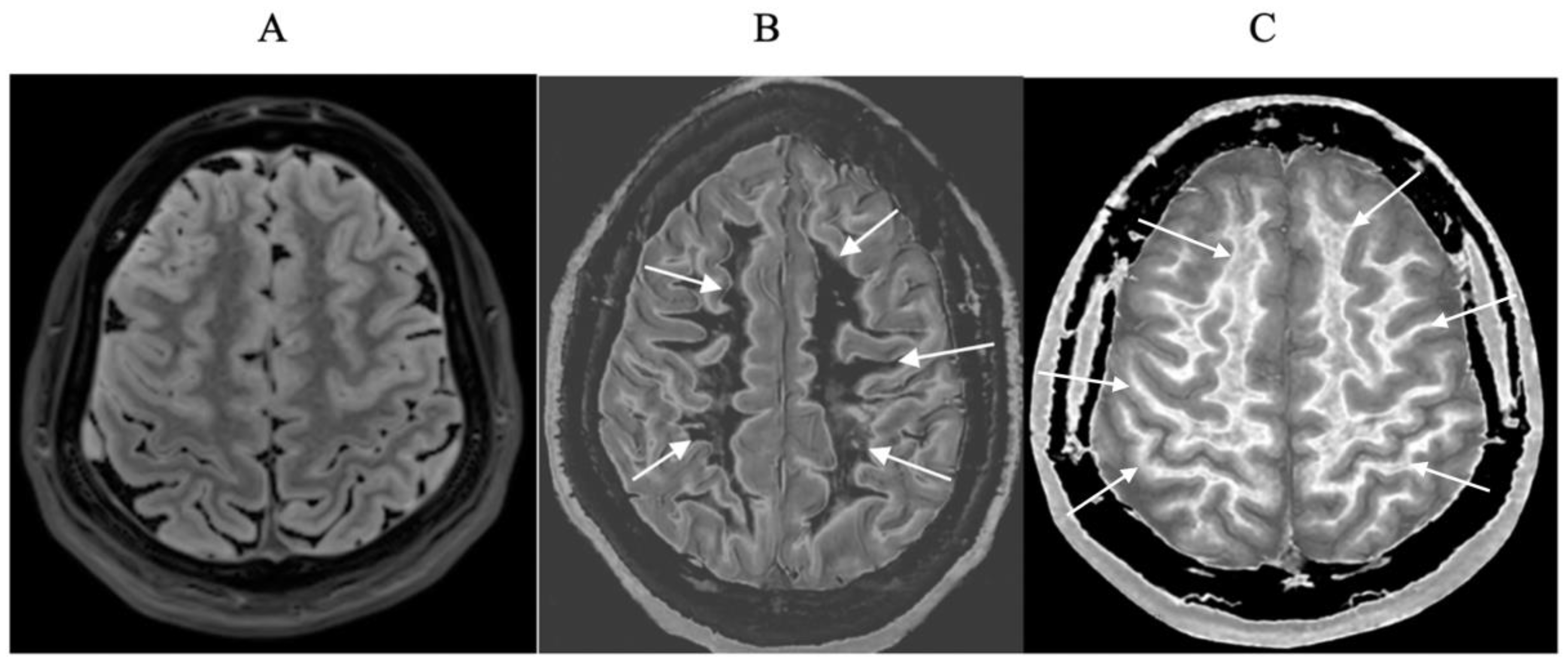 Preprints 162094 g001