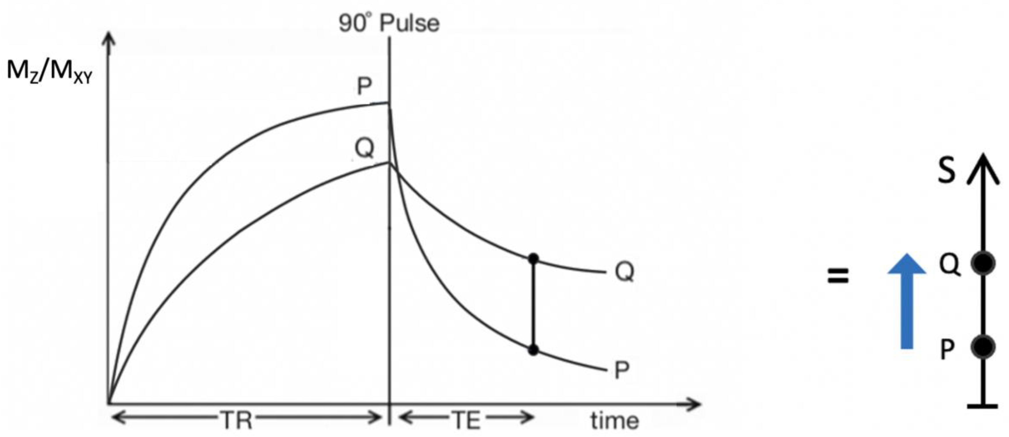Preprints 162094 g002