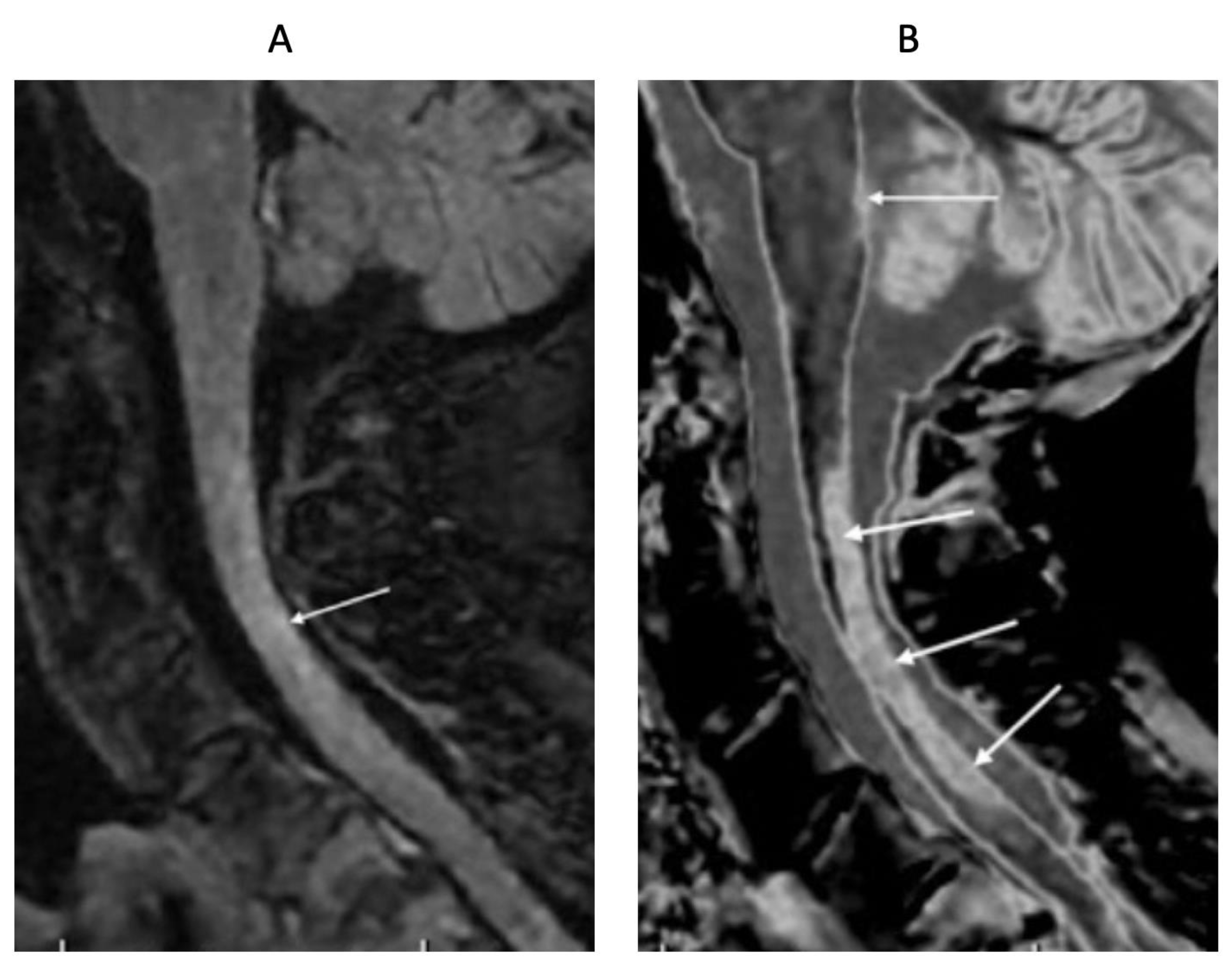 Preprints 162094 g018