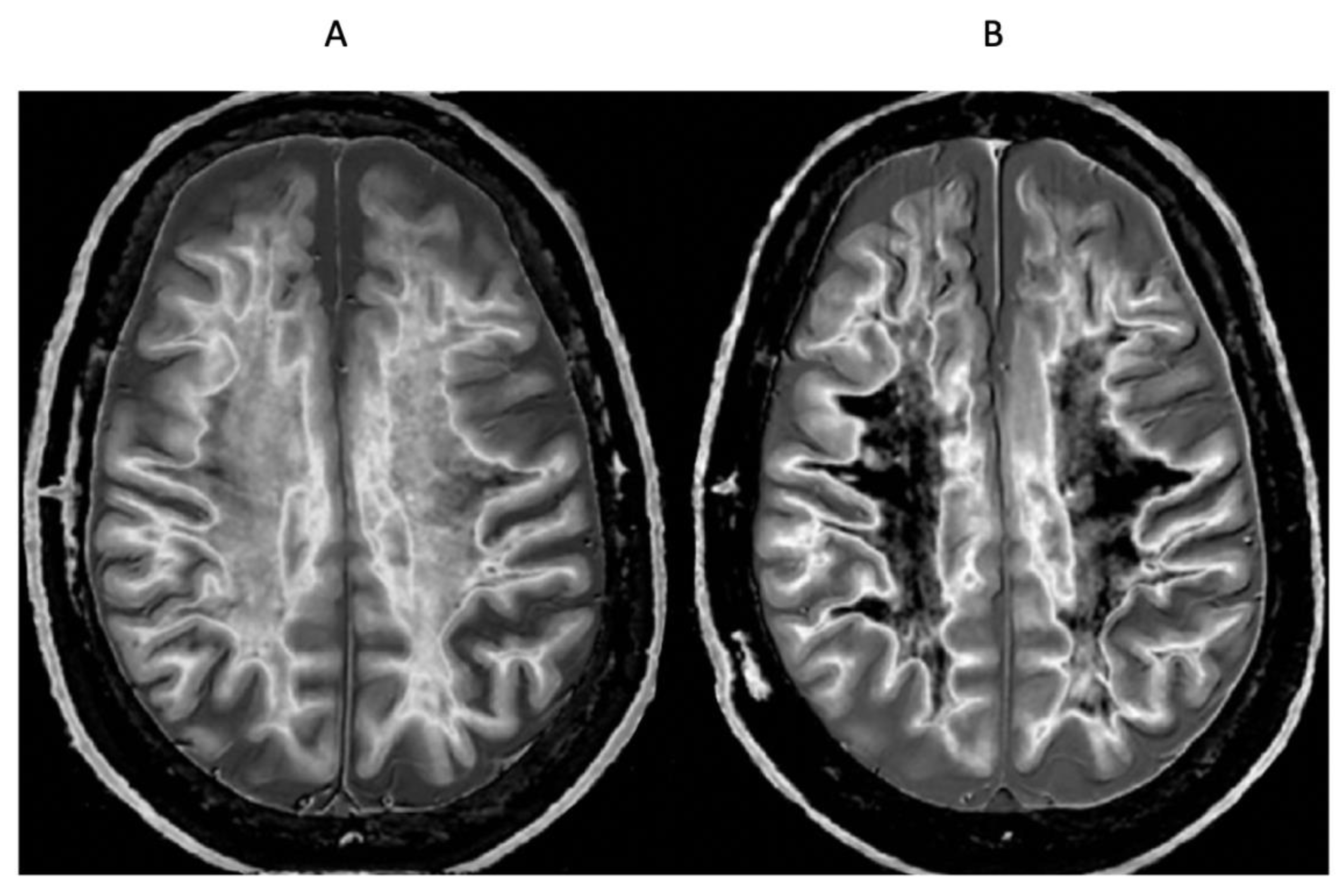 Preprints 162094 g019