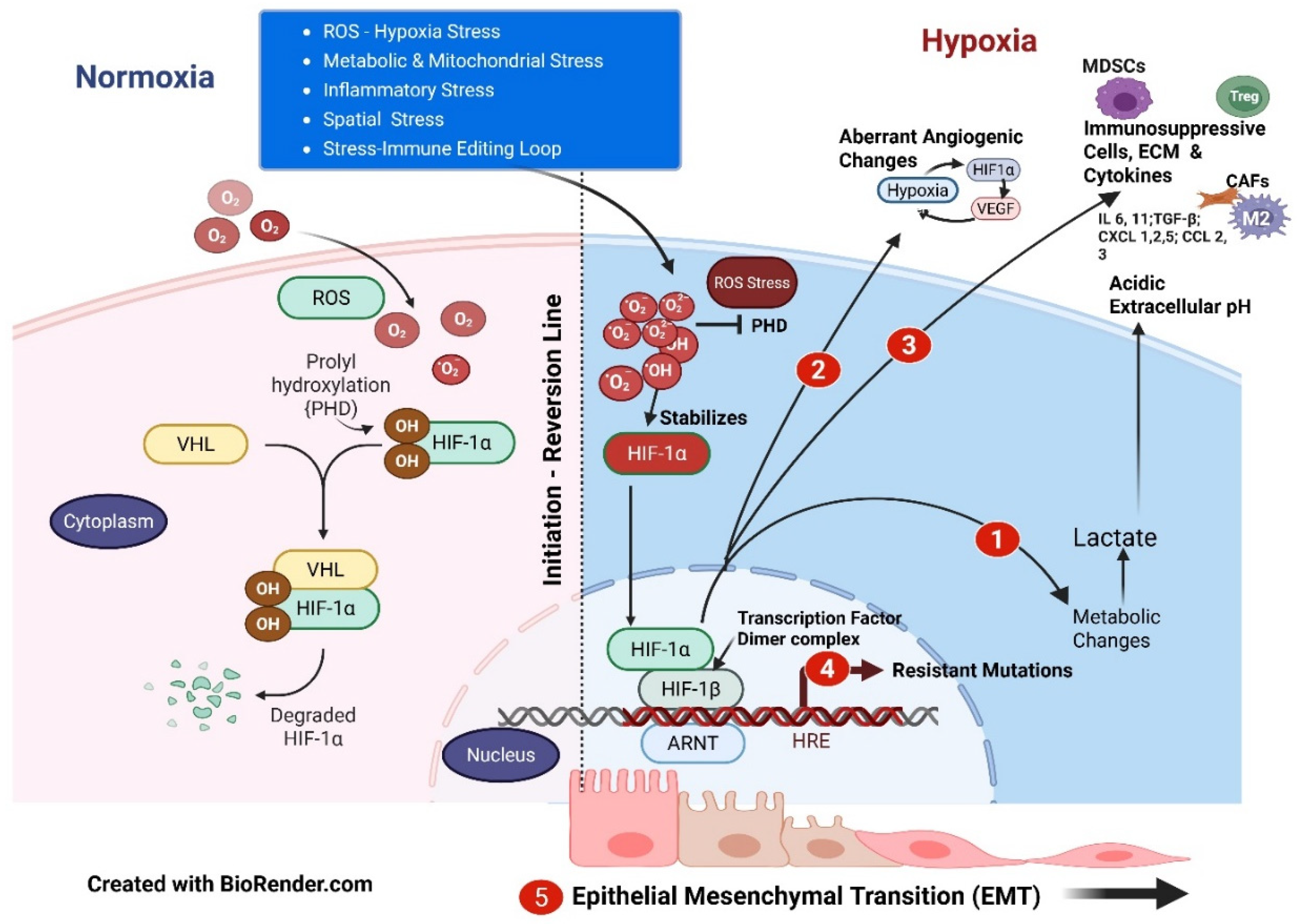 Preprints 182437 g001