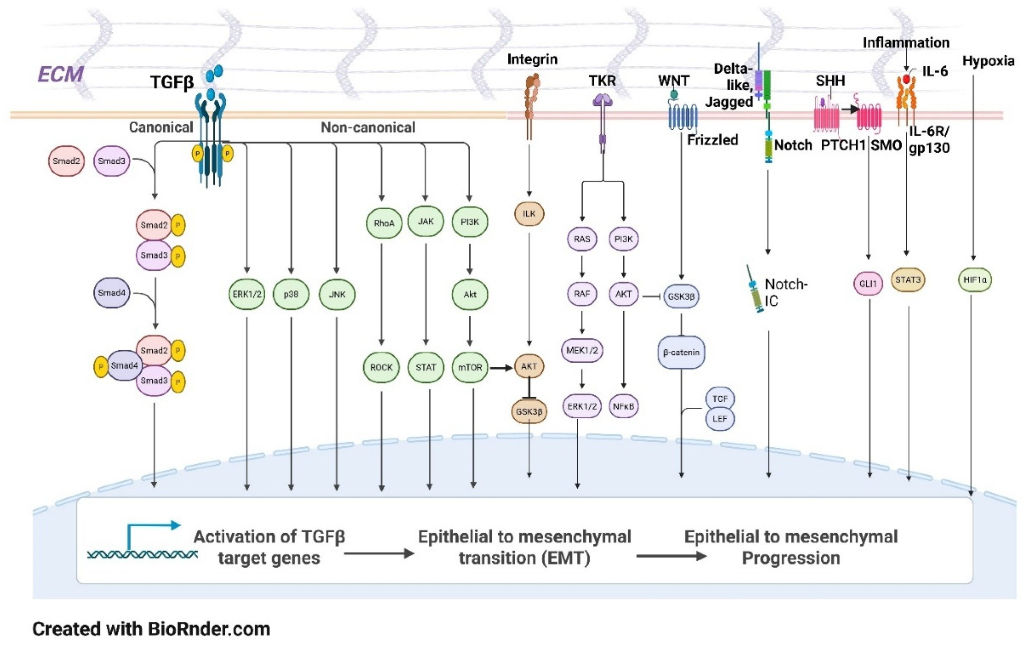 Preprints 182437 g002