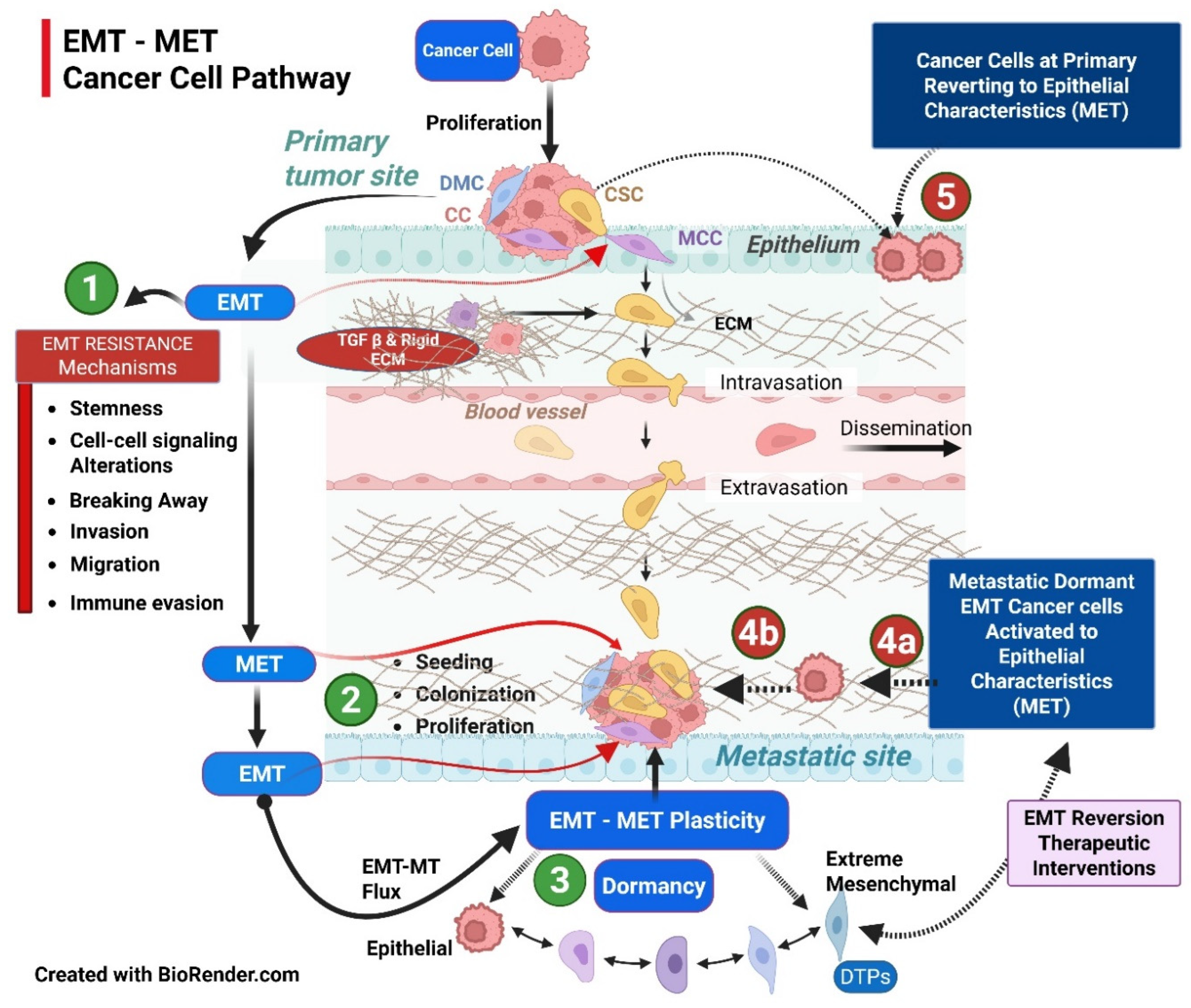 Preprints 182437 g003