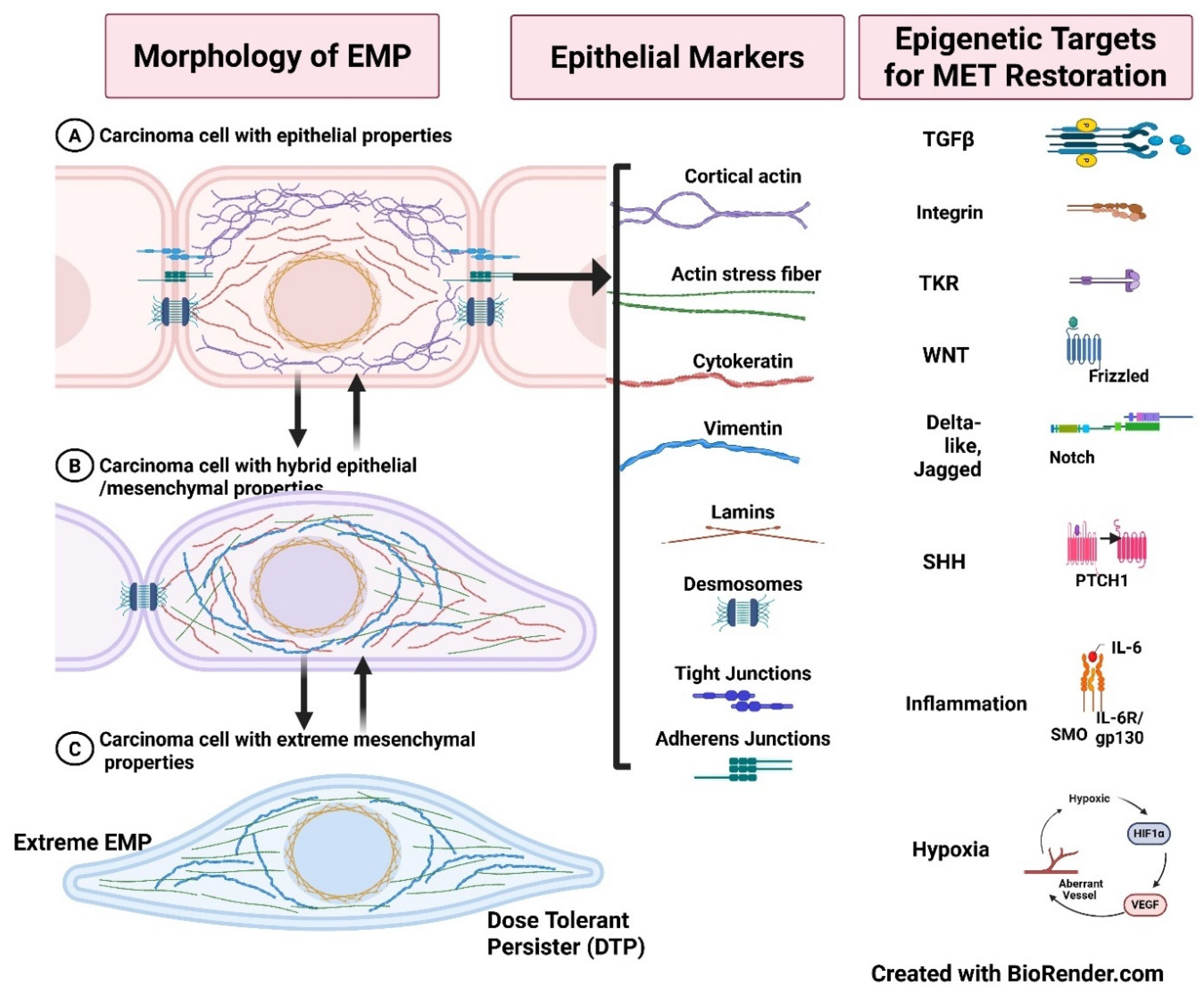 Preprints 182437 g004