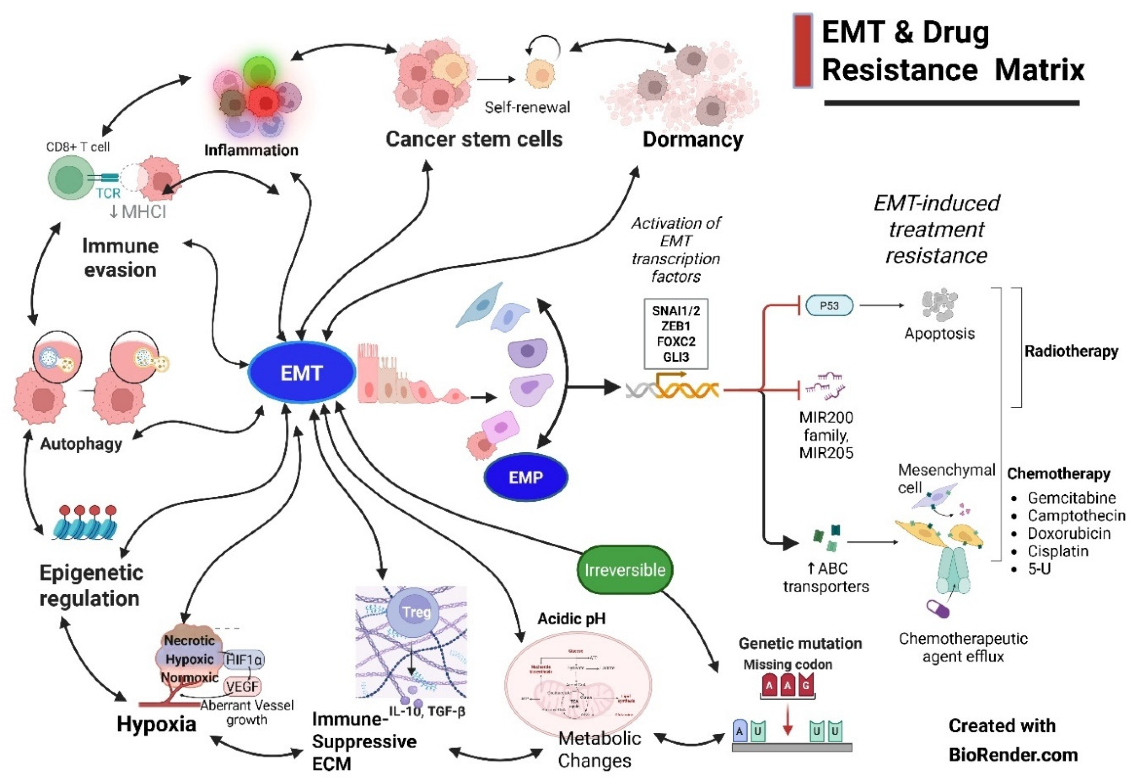 Preprints 182437 g005