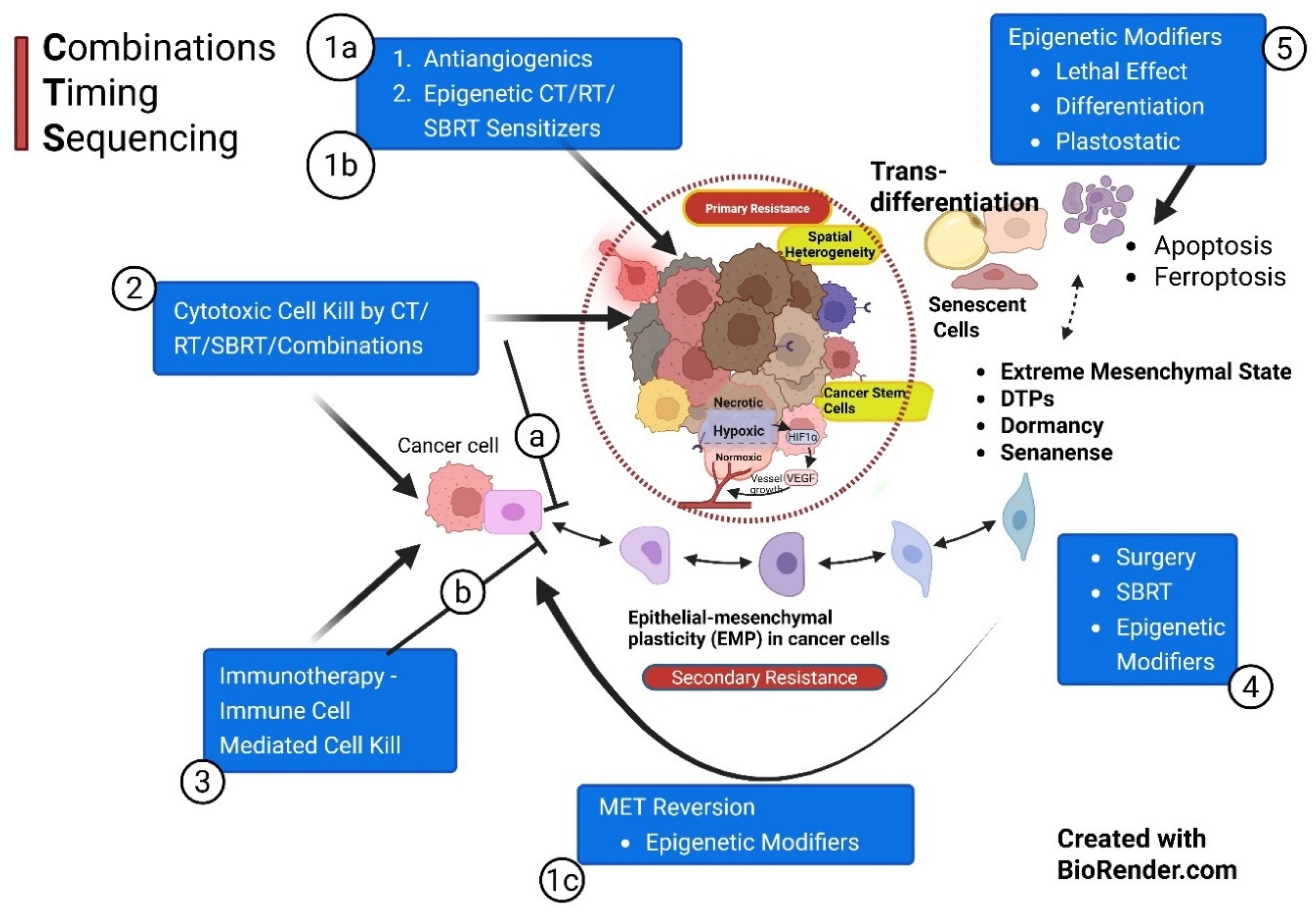 Preprints 182437 g006