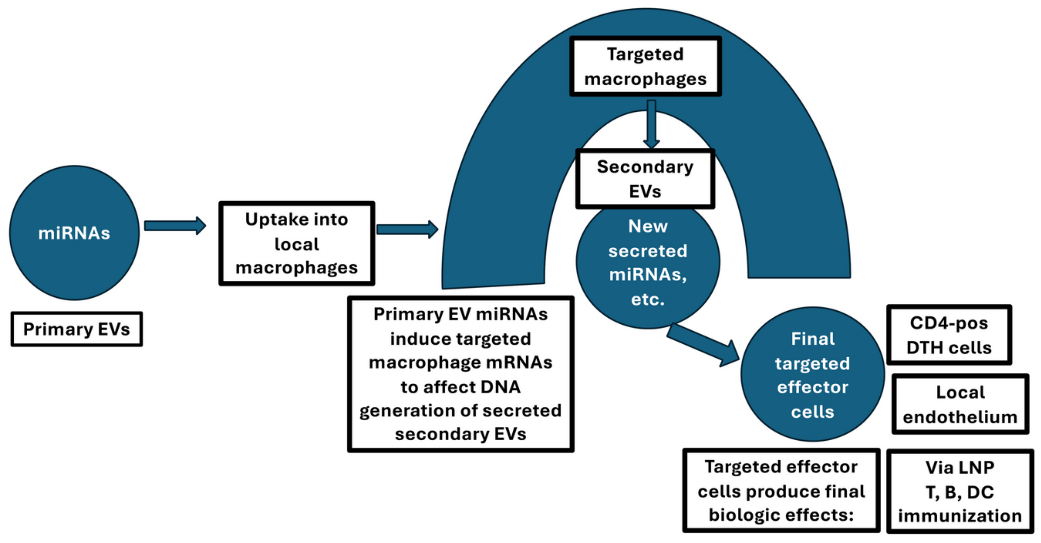 Preprints 159037 g001