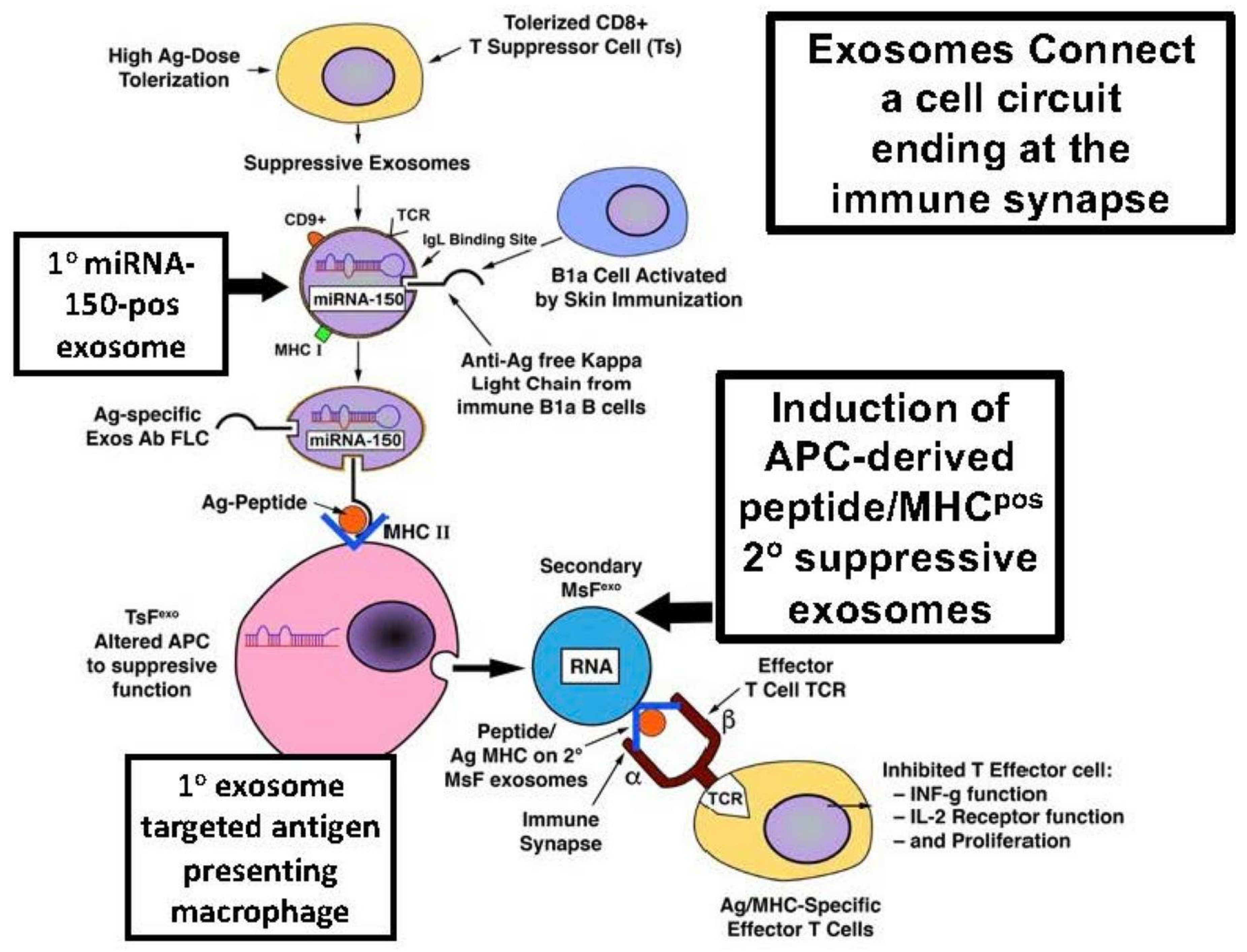 Preprints 159037 g002